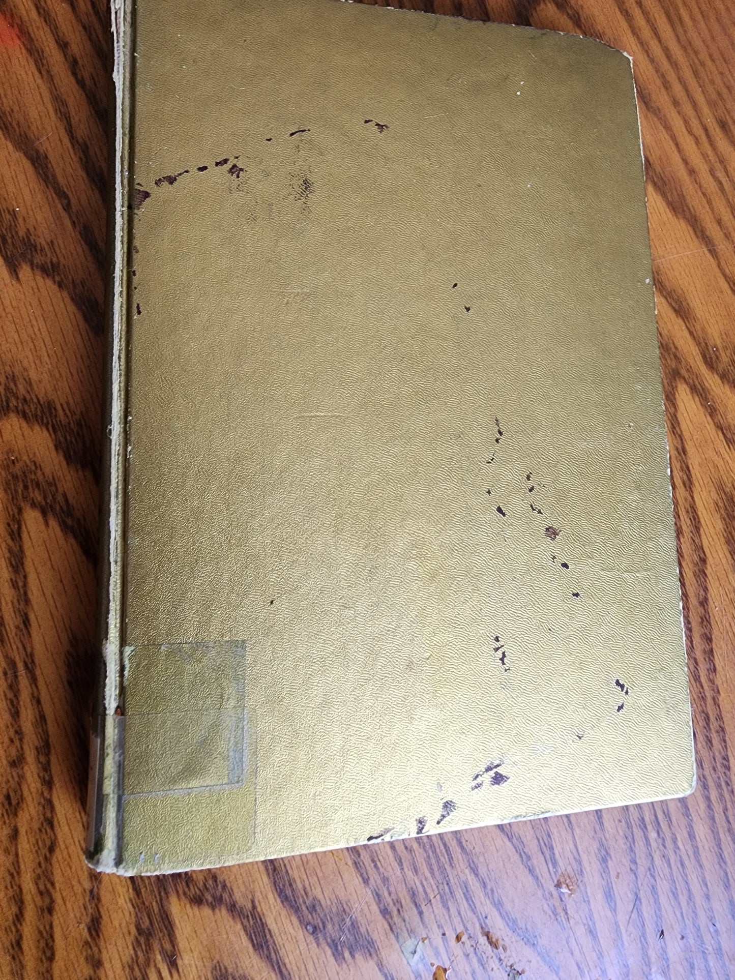 Hollywood Babylon The Legendary Underground Classic Hollywood's Darkest secrets