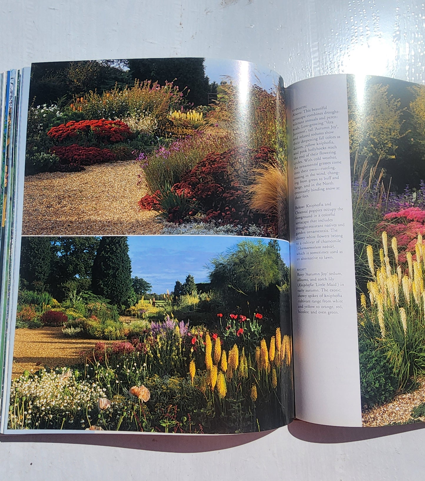 Glorious Gardens: Designing, Creating, Nurturing HB
Book by Jacqueline Hériteau