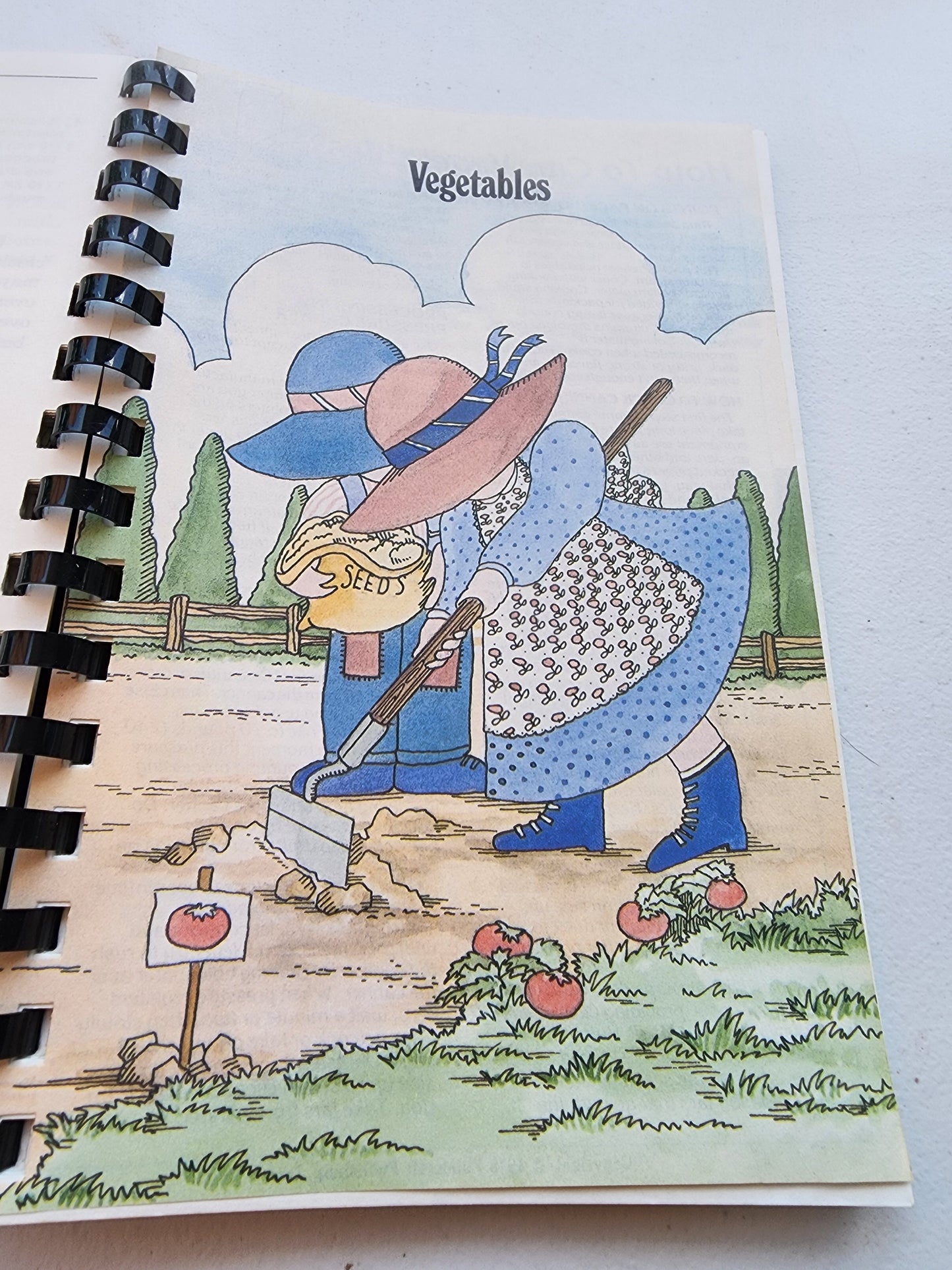 Seasoned With Love Cookbook by Family of God Woodmont Hills Spiral Bound 1978