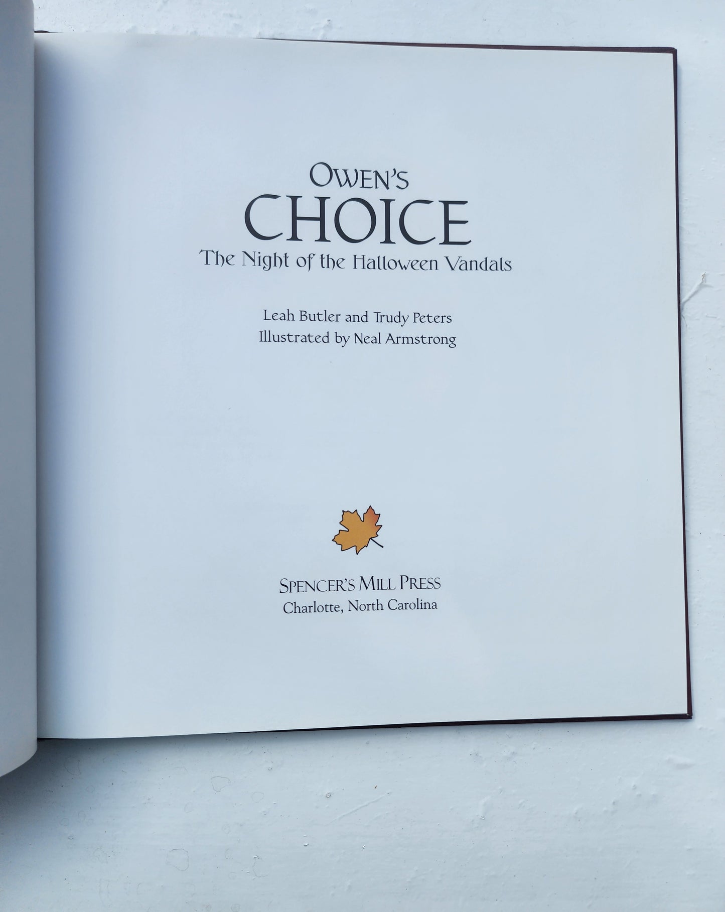 Owen's Choice : The Night of the Halloween Vandals HB Book