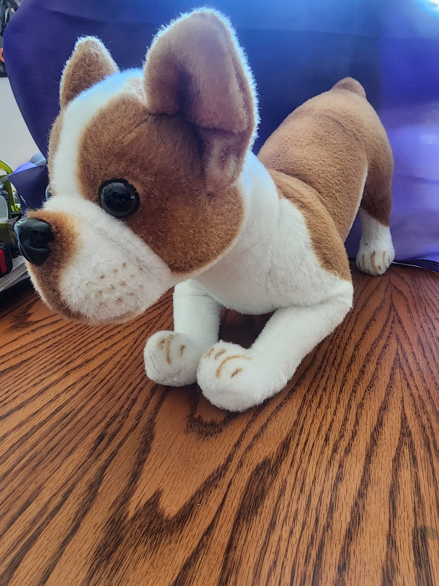 Tiger Tale Toys Bobby The Boston Terrier 16" Poseable Legs Plush Dog