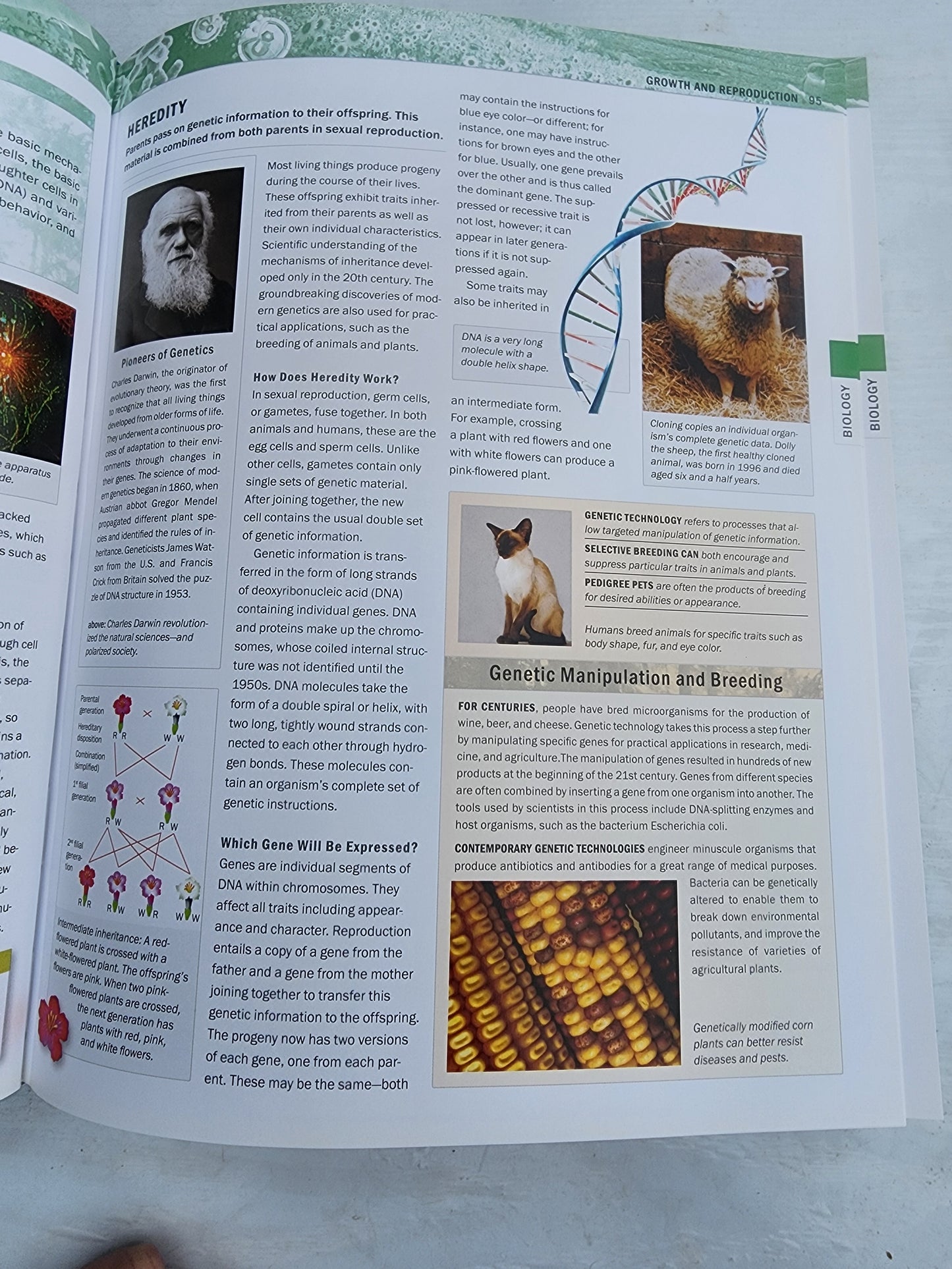 The Knowledge Book (National Geographic Society, 2007) Big textbook