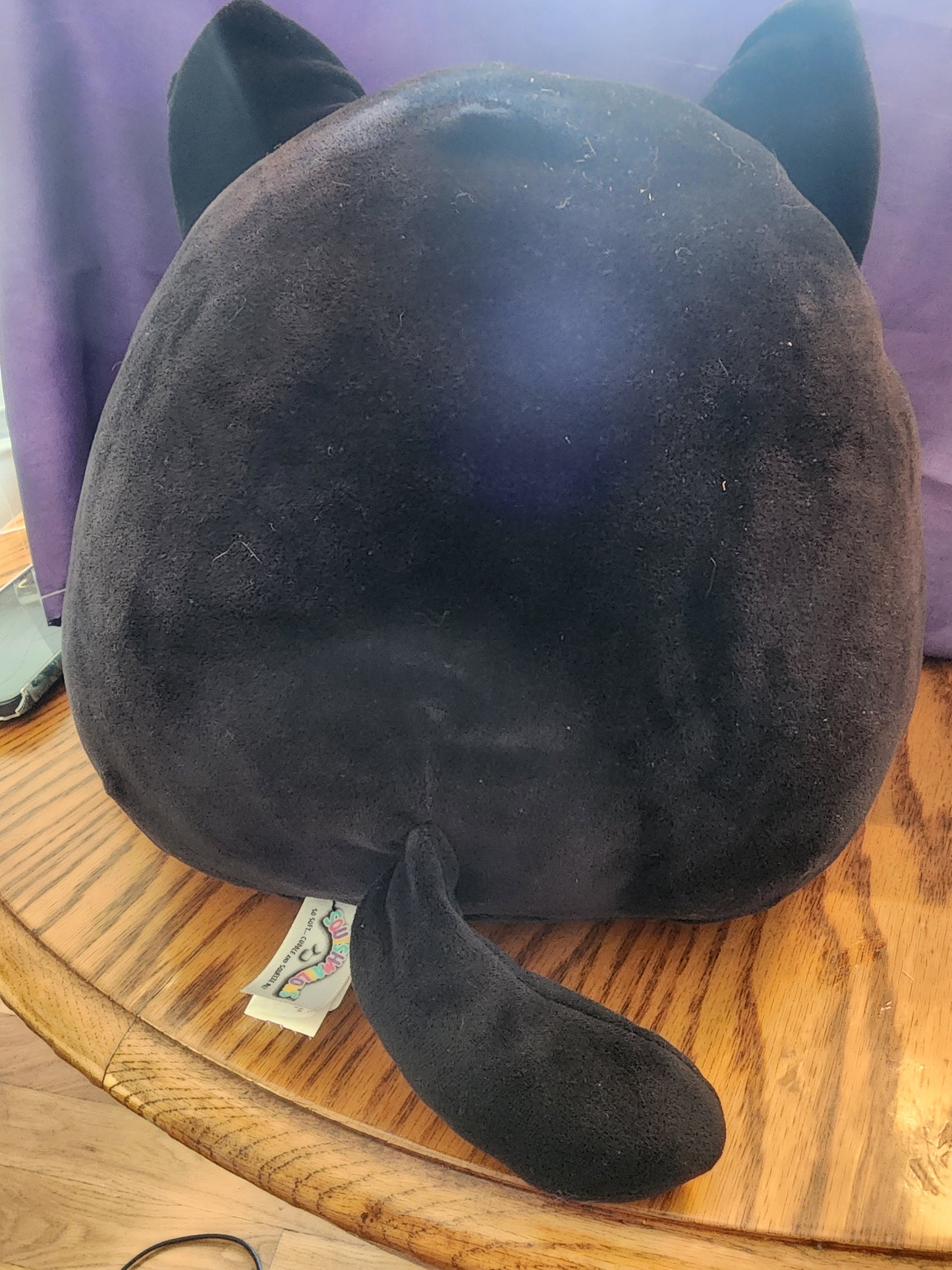 Squishmallows Autumn Black Cat 12" Purple Belly Halloween Plush Squishmallow
