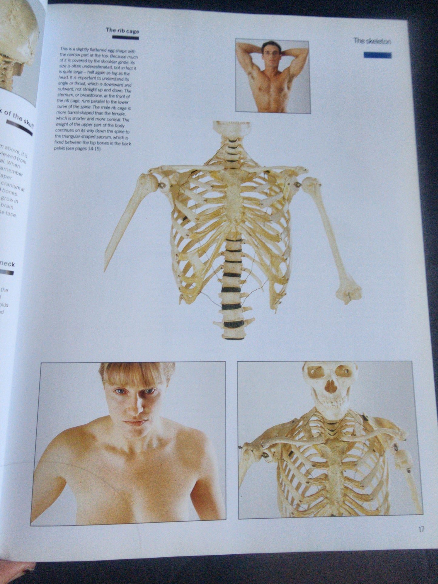 Complete Life Drawing Course by Diana Constance - Learn Figure Drawing & Anatomy