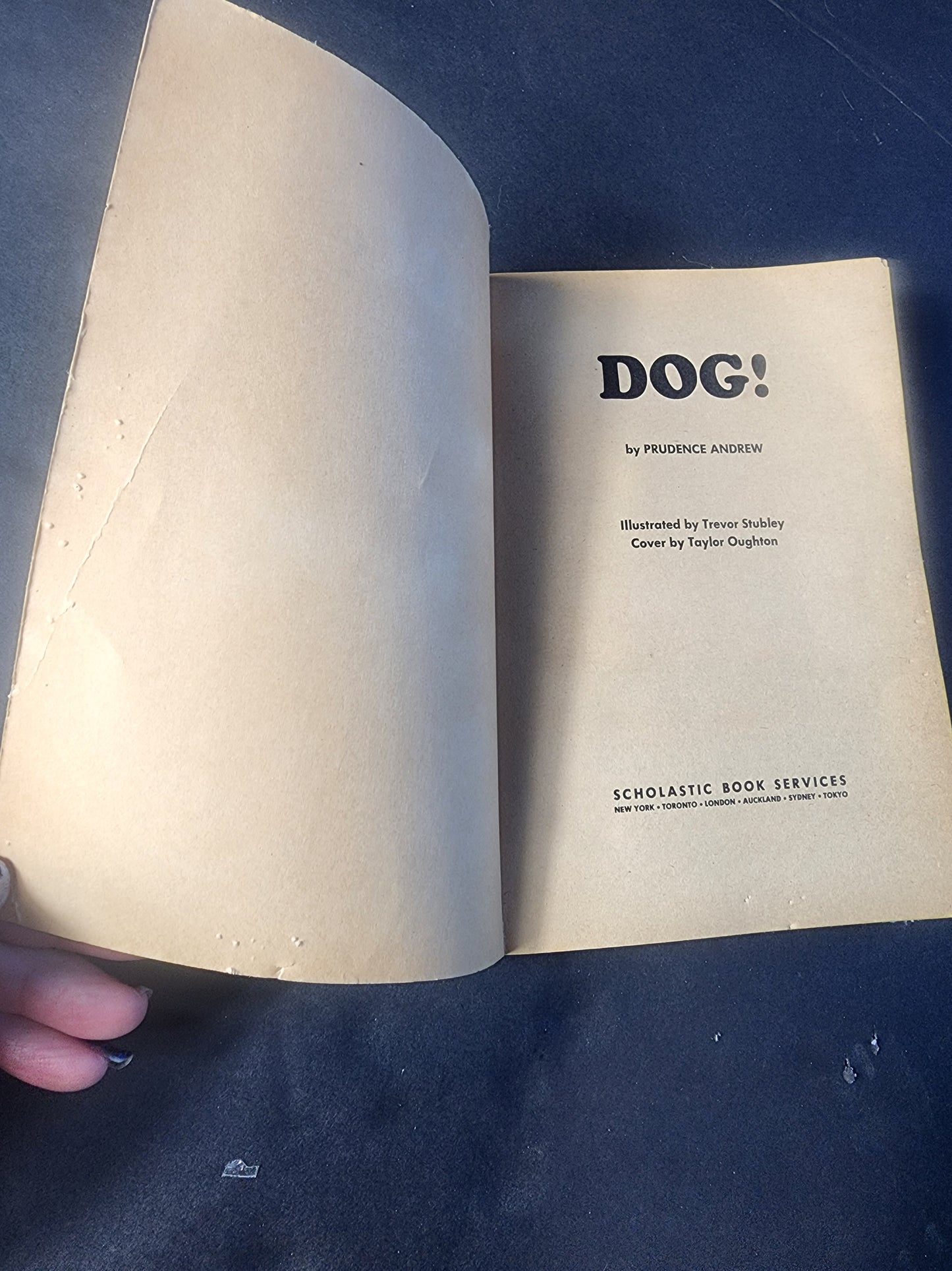 Vintage Children's Book: Dog! by Prudence Andrew (1973)