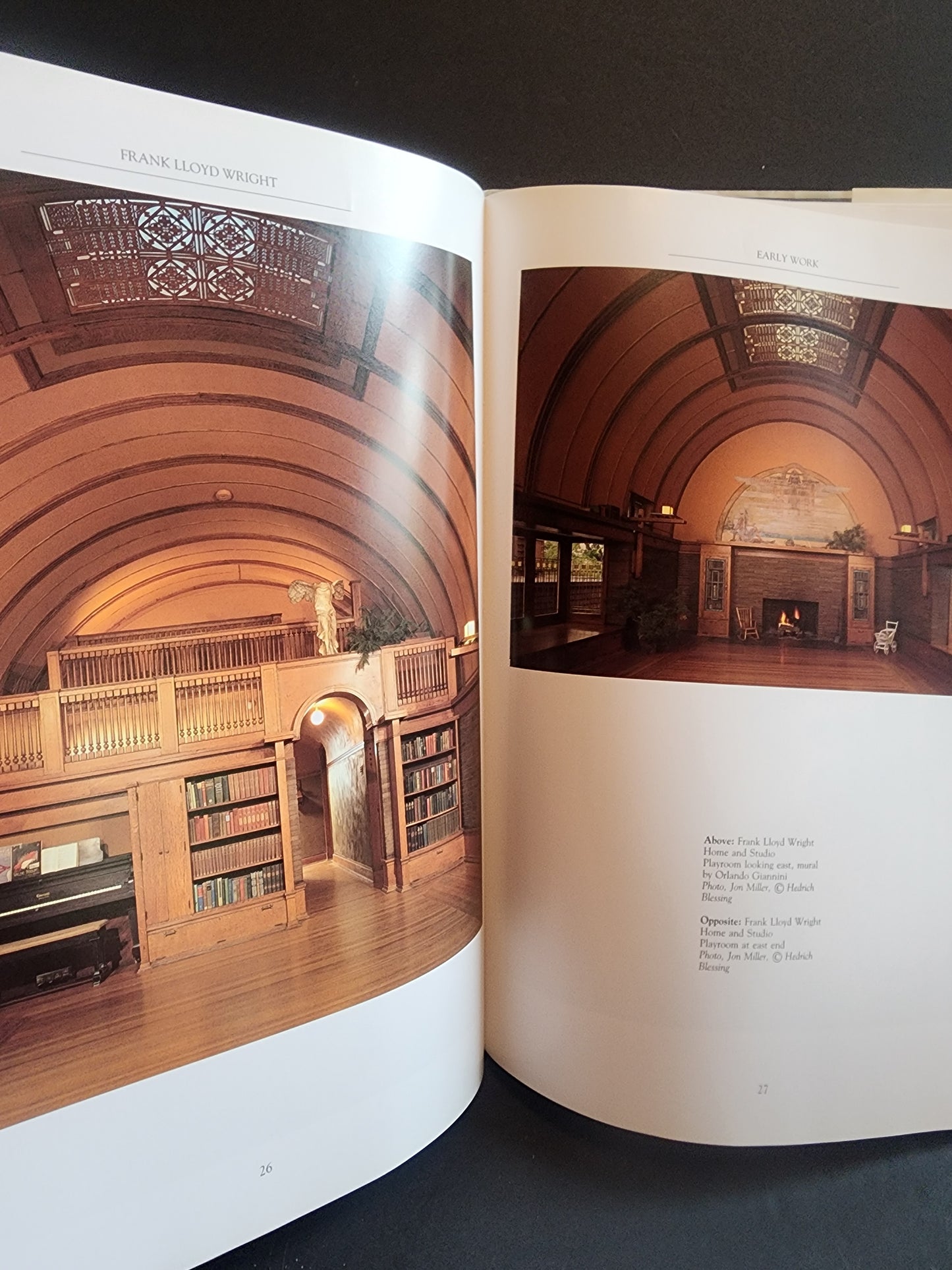 Frank Lloyd Wright Hardcover Book Maria Costantino Architecture Photos Fallingwater 1991