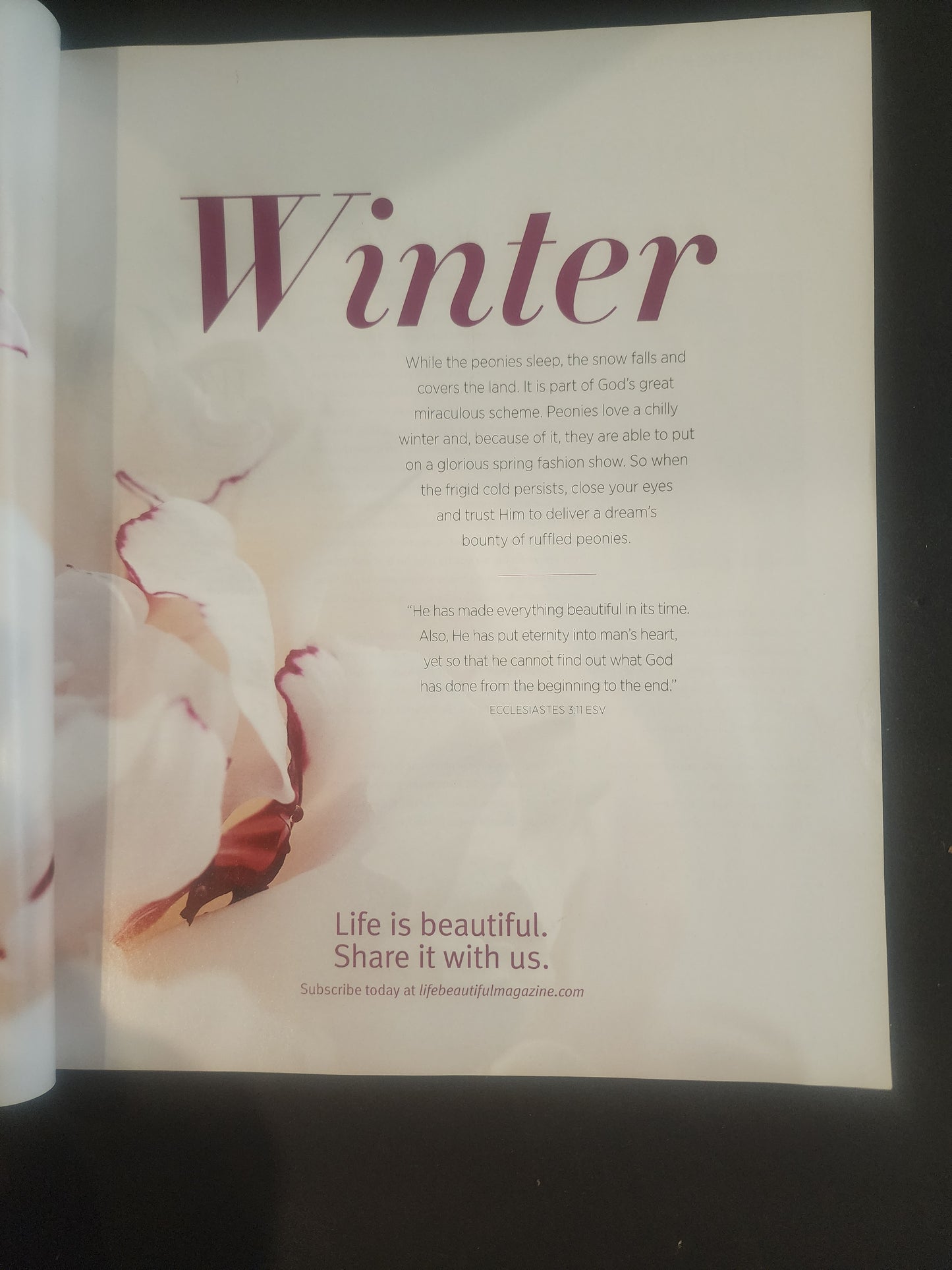 Life Beautiful Winter 2015-16  50 most inspiring Christian Women of 2016