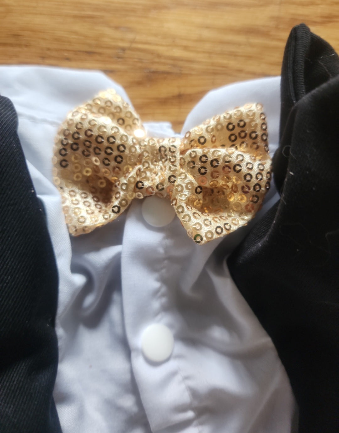 Dog Tuxedo - Black & White with Dazzling Gold Sequin Bow Tie - Size Medium