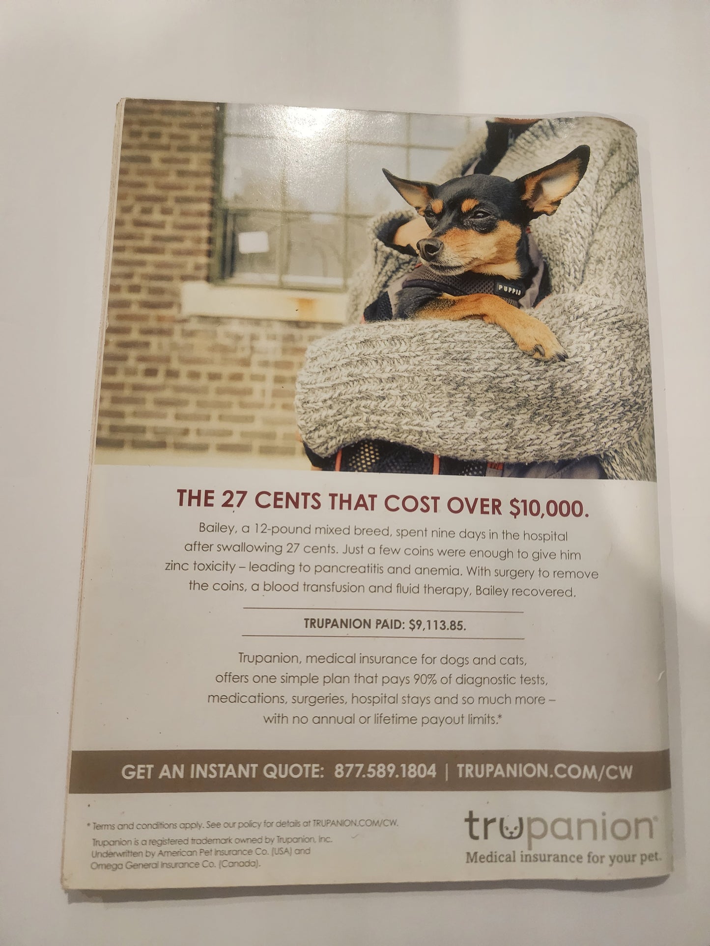 Cesar's Way  December 2014 (Special Double Issue) dog training