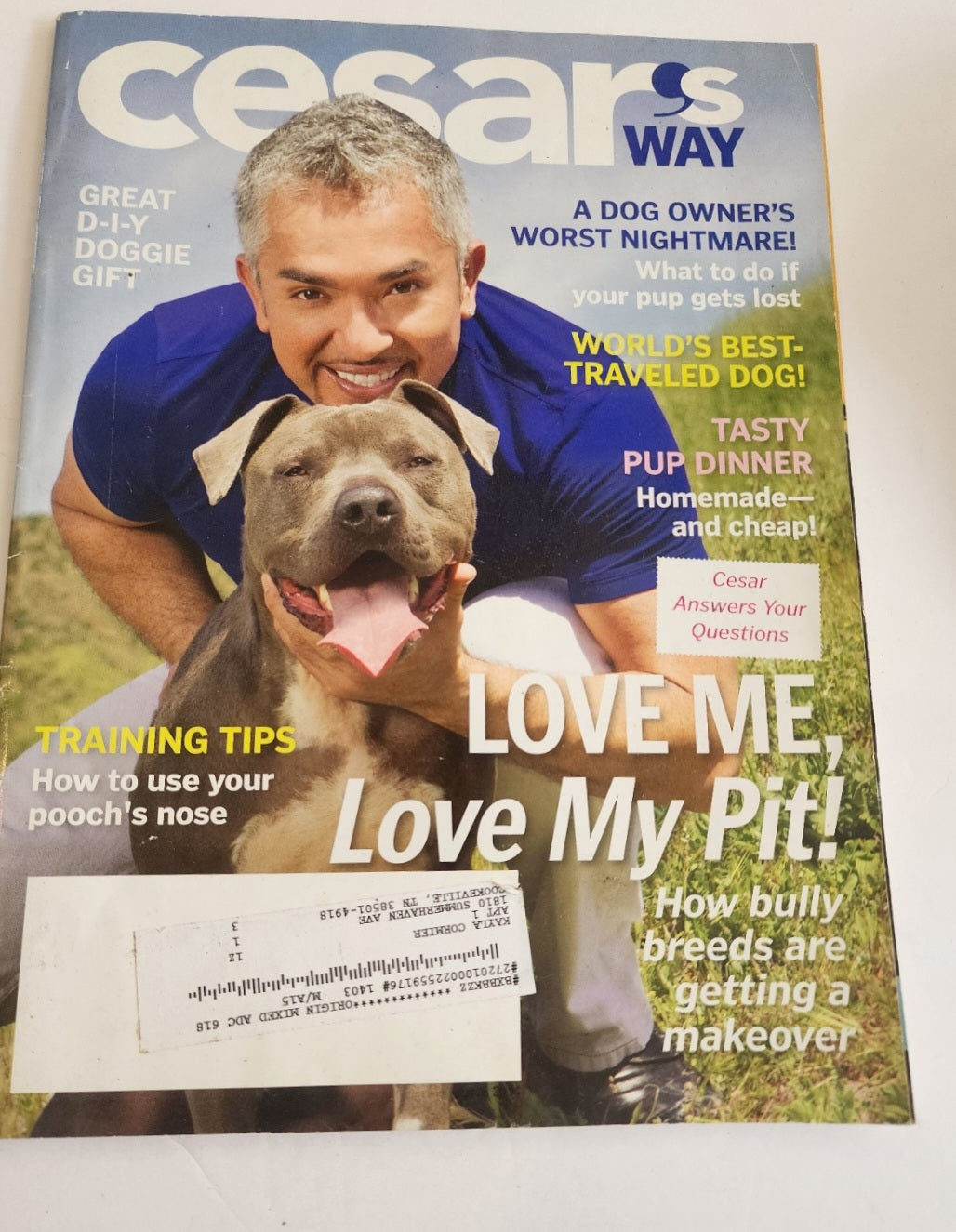 Cesar's Way Magazine - Dog Training & Pitbull Makeover Aug.   2014