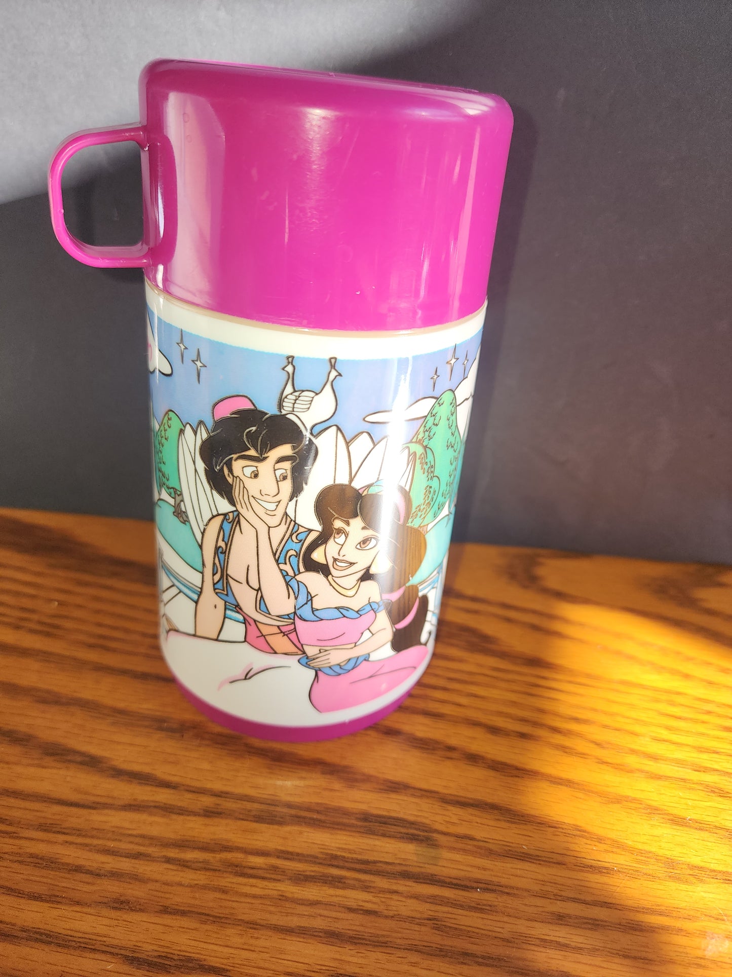 Vintage Pink Alladin and Jasmine Thermos by Alladdin 3 piece