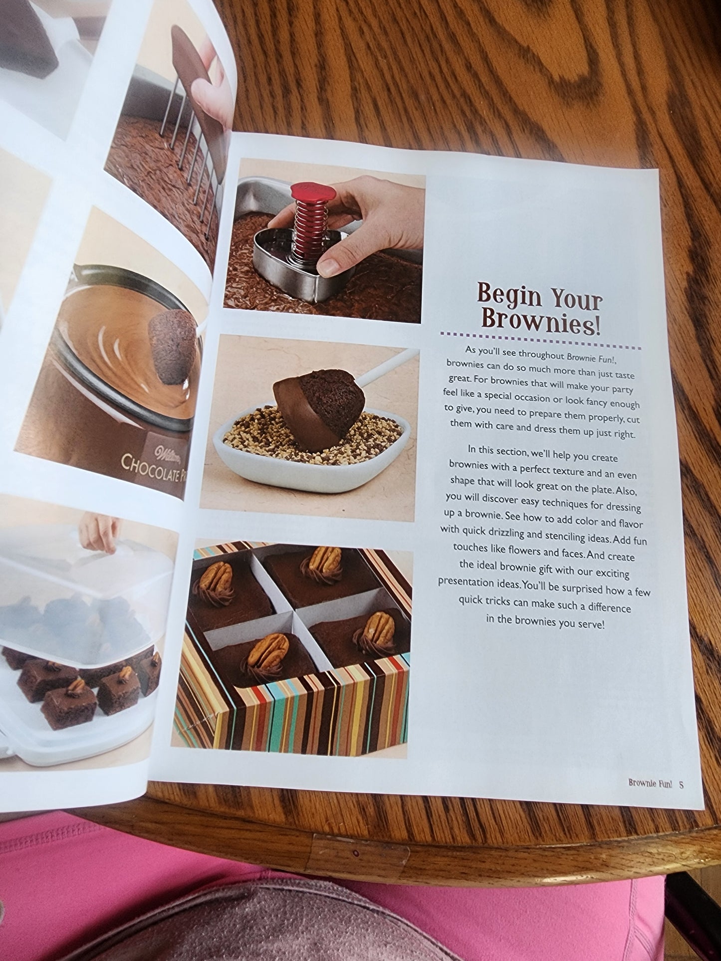 Wilton Brownie Fun! 140 Ideas & Recipes Decorating Book Cookbooks