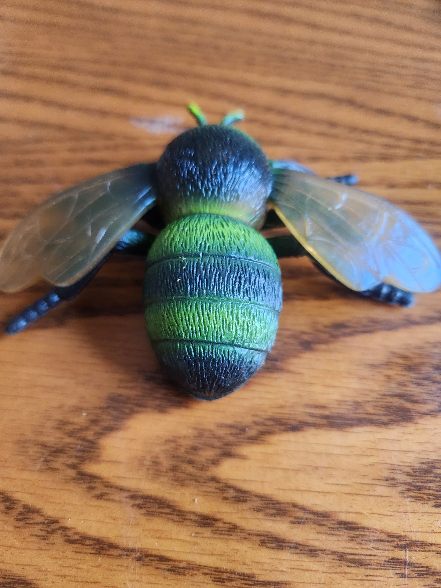 Realistic Detail House Fly Insect Bug Halloween LARGE Plastic PVC Toy Figure 3.50"