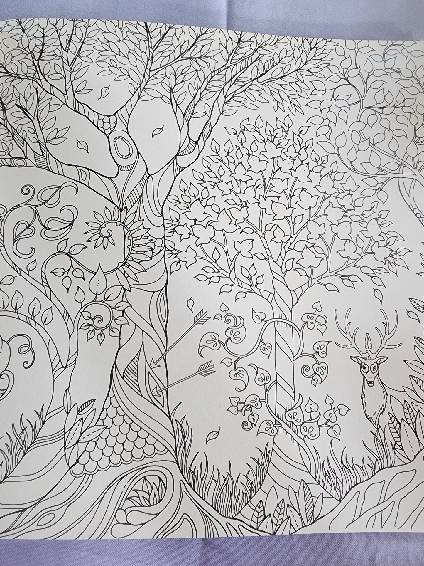 The Enchanted Forest an Inky Quest & Coloring
Book by Johanna Basford