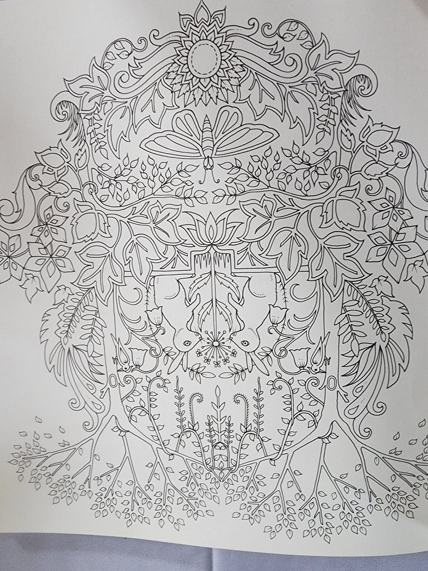 The Enchanted Forest an Inky Quest & Coloring
Book by Johanna Basford