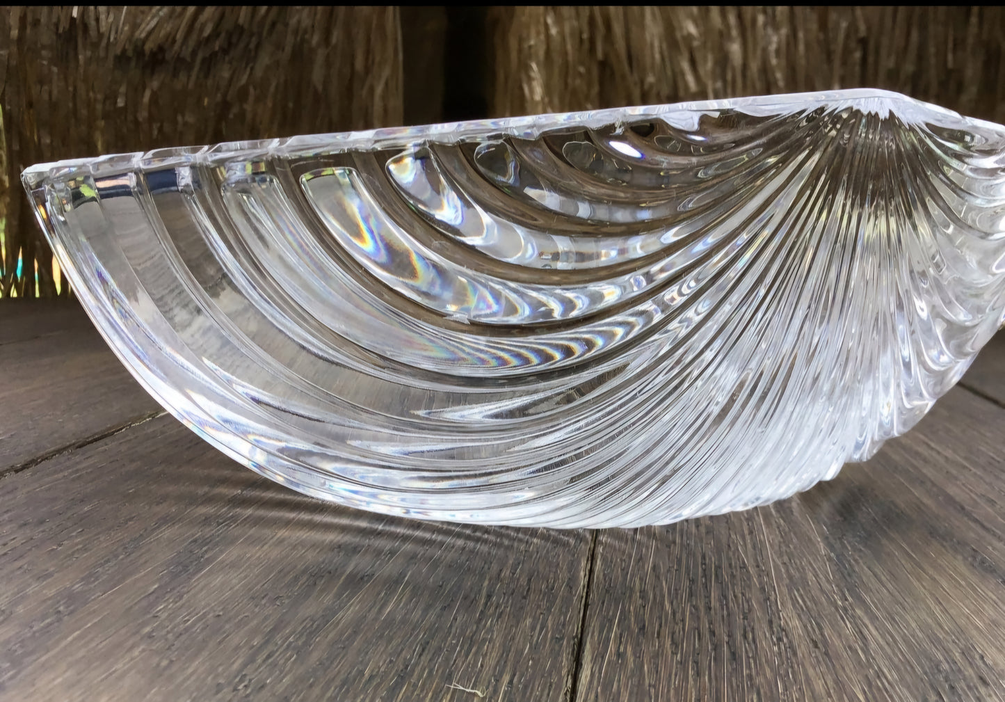 Scalloped Shell Bowl - Candy Dish, Serving, Decor - 8.5" x 9"