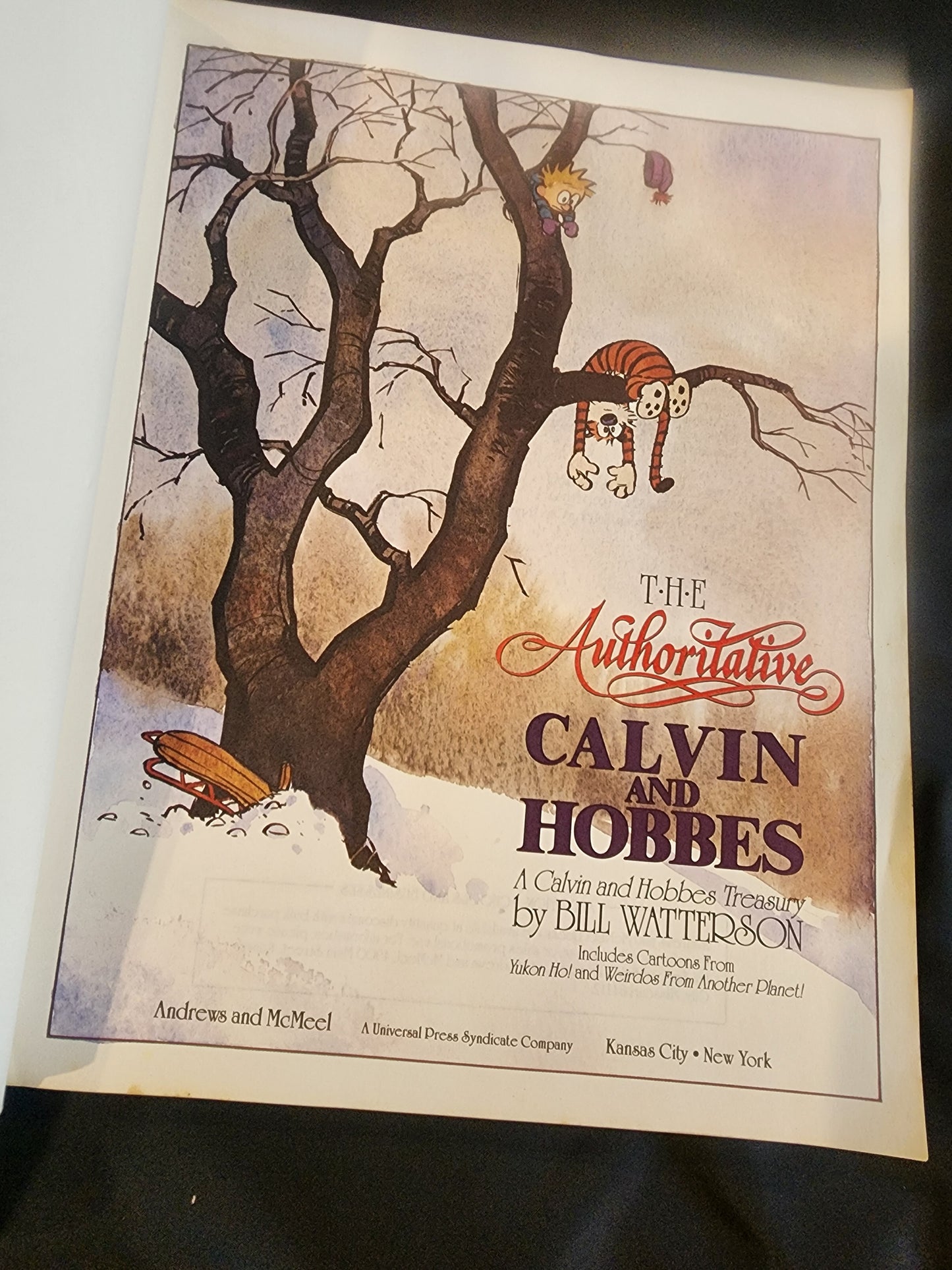 The Authoritative Calvin and Hobbes (A Calvin And Hobbes Treasury) 1990