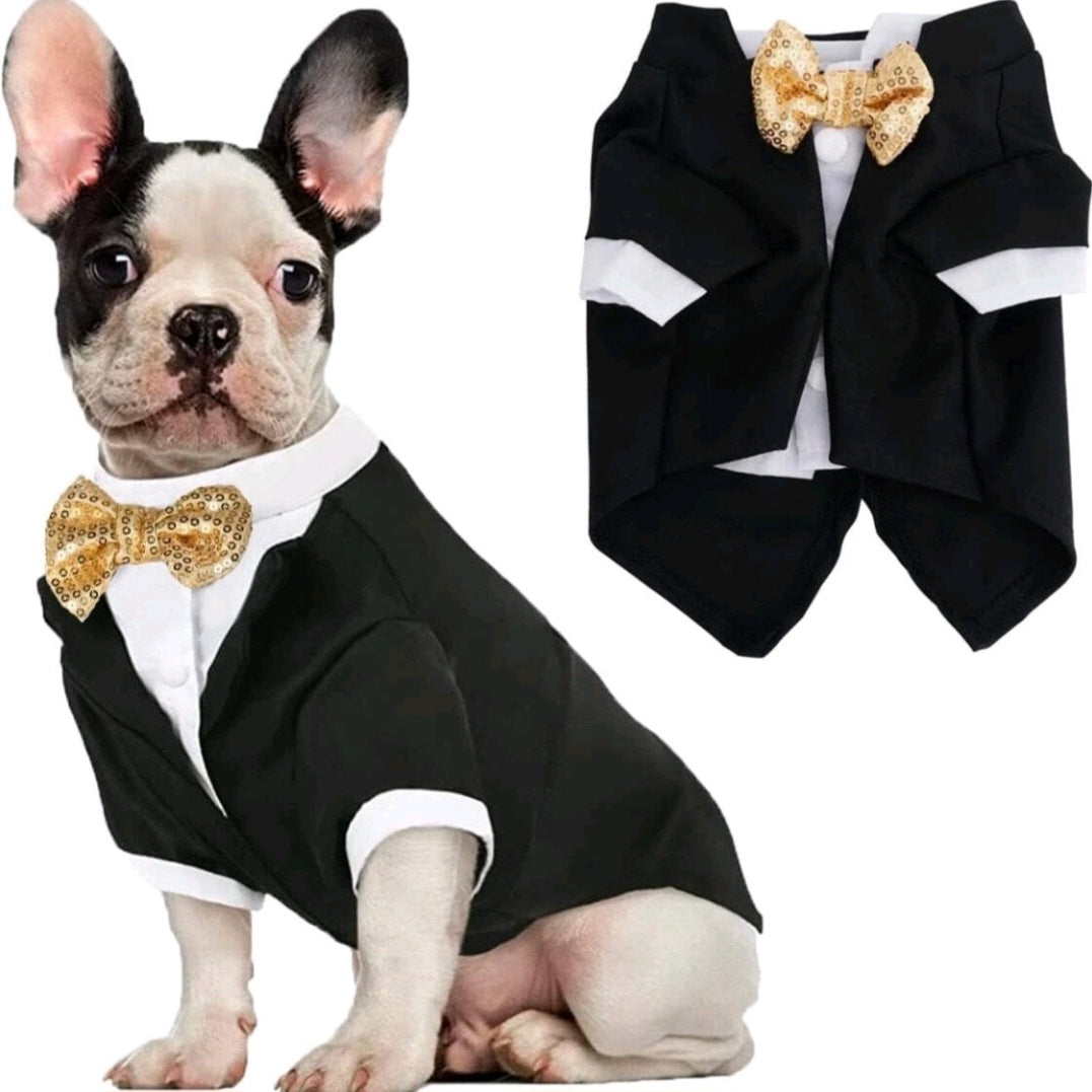 Dog Tuxedo - Black & White with Dazzling Gold Sequin Bow Tie - Size Medium