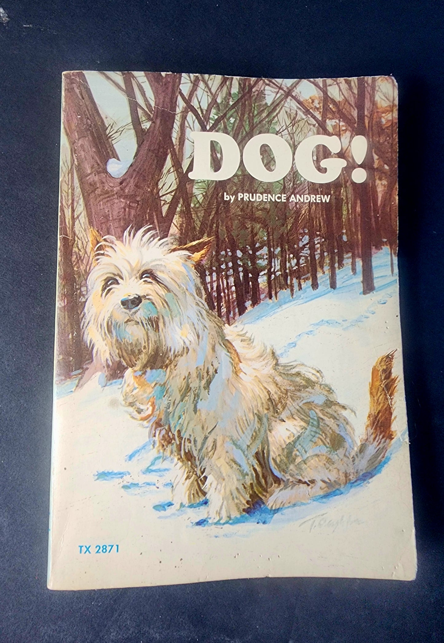 Vintage Children's Book: Dog! by Prudence Andrew (1973)