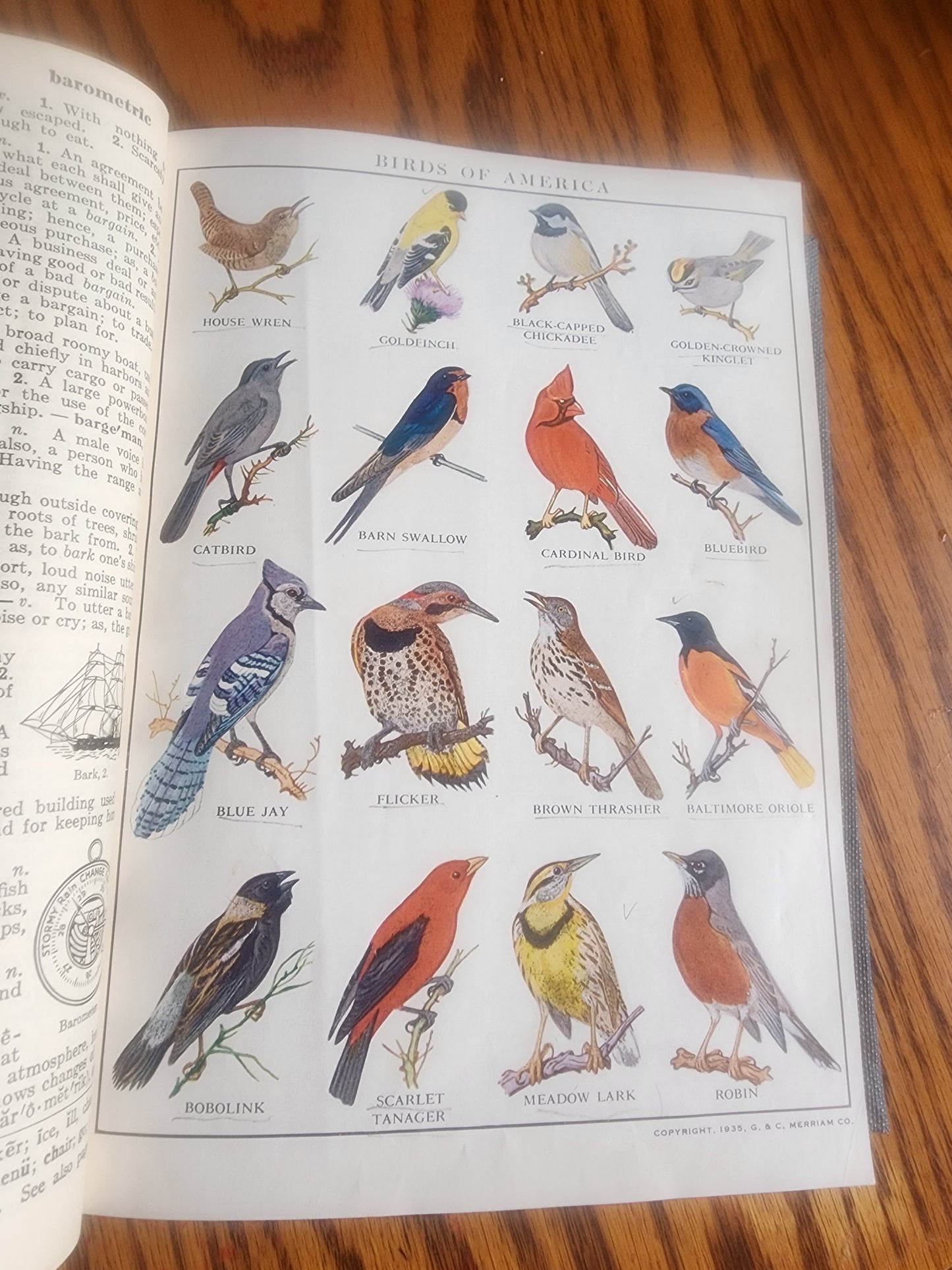 Vintage 1941 Webster's Elementary Dictionary for Boys and Girls - Illustrated
