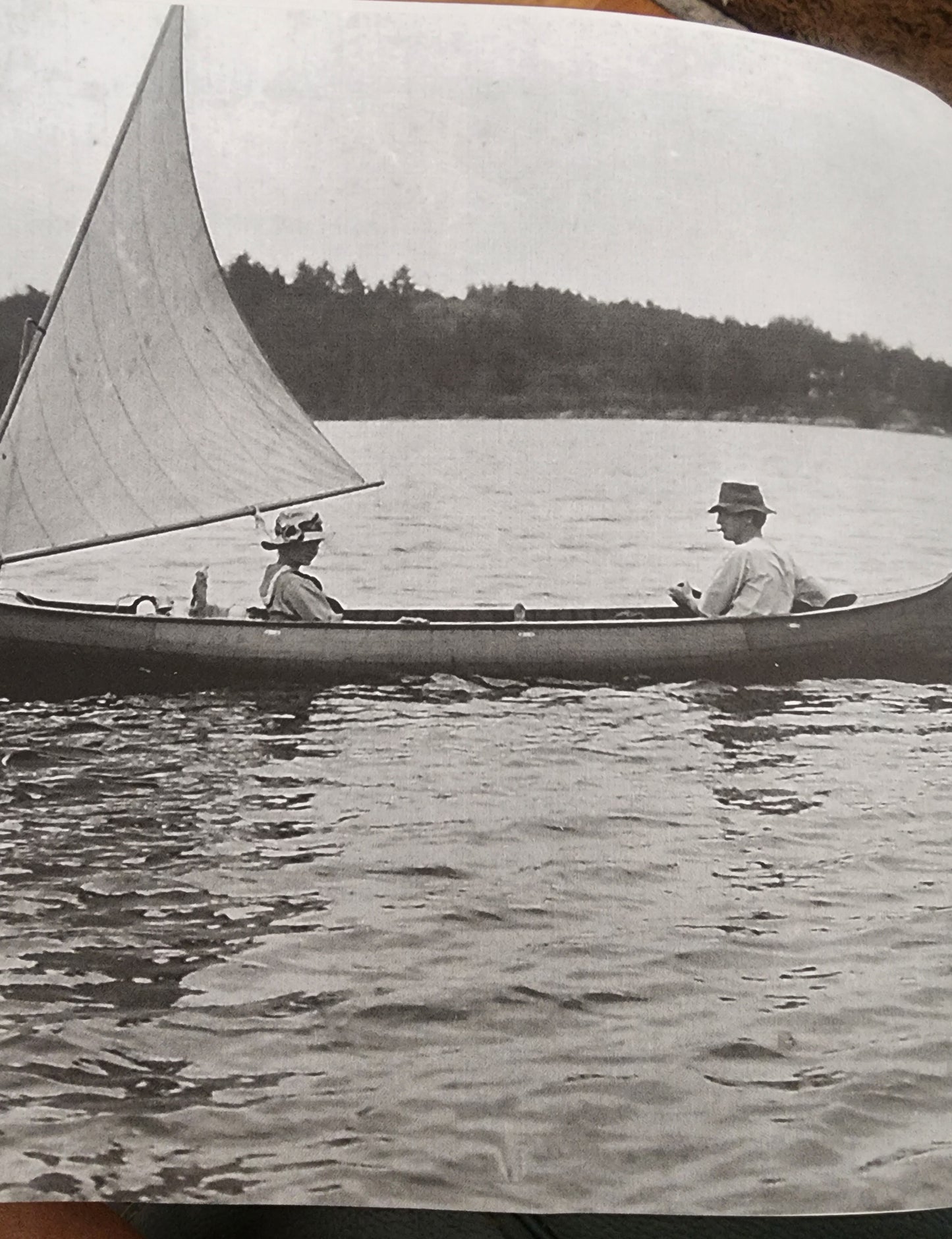 Canoecraft: An Illustrated Guide to Fine Woodstrip Construction Revised & Expanded Edition