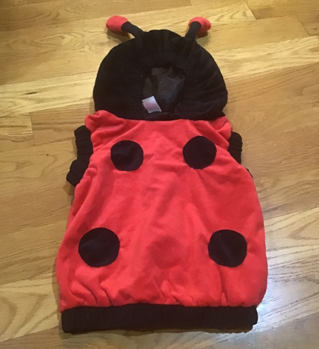 Plush Lady Bug Costume size 2-4 for your ladybug