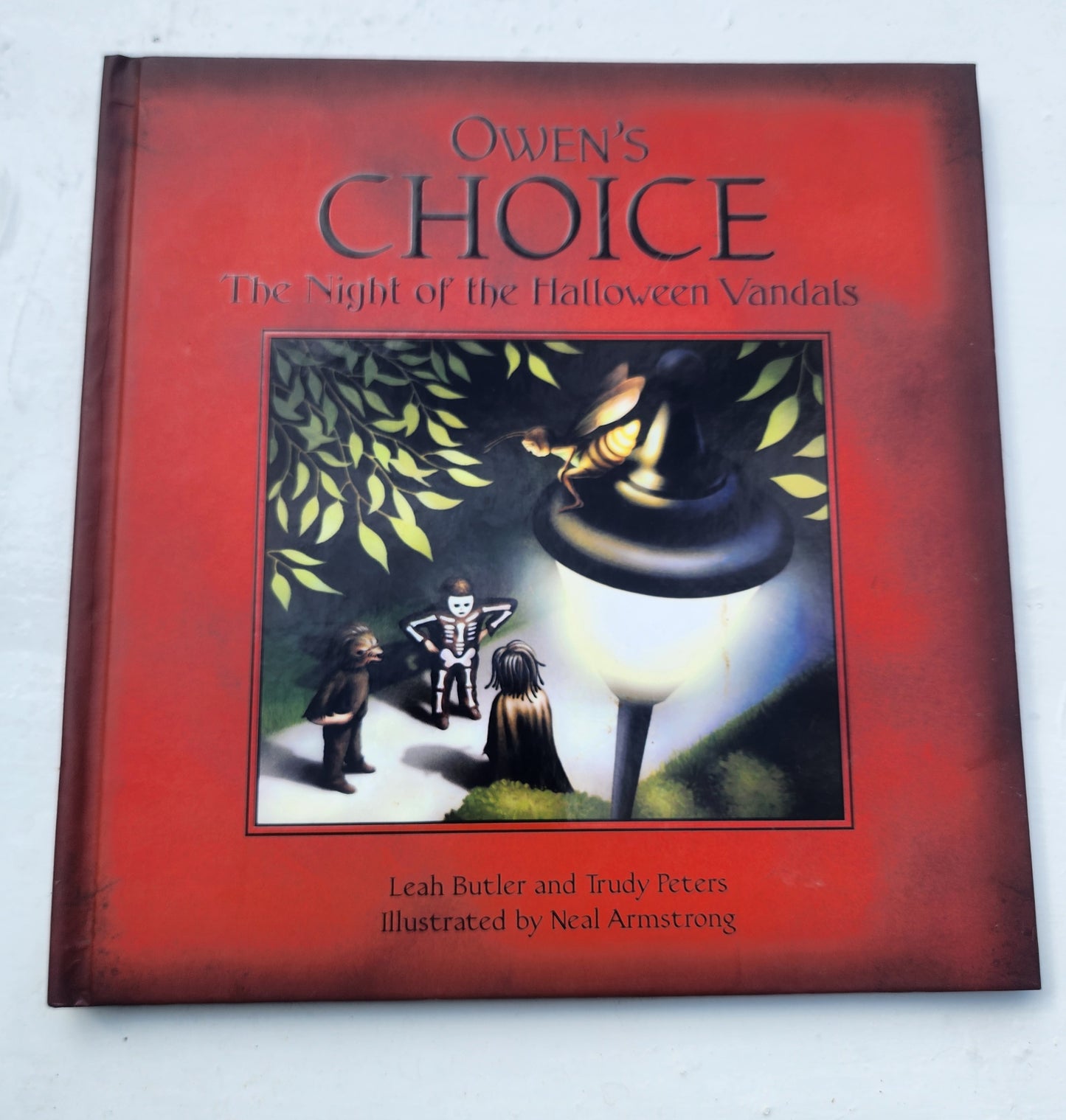 Owen's Choice : The Night of the Halloween Vandals HB Book