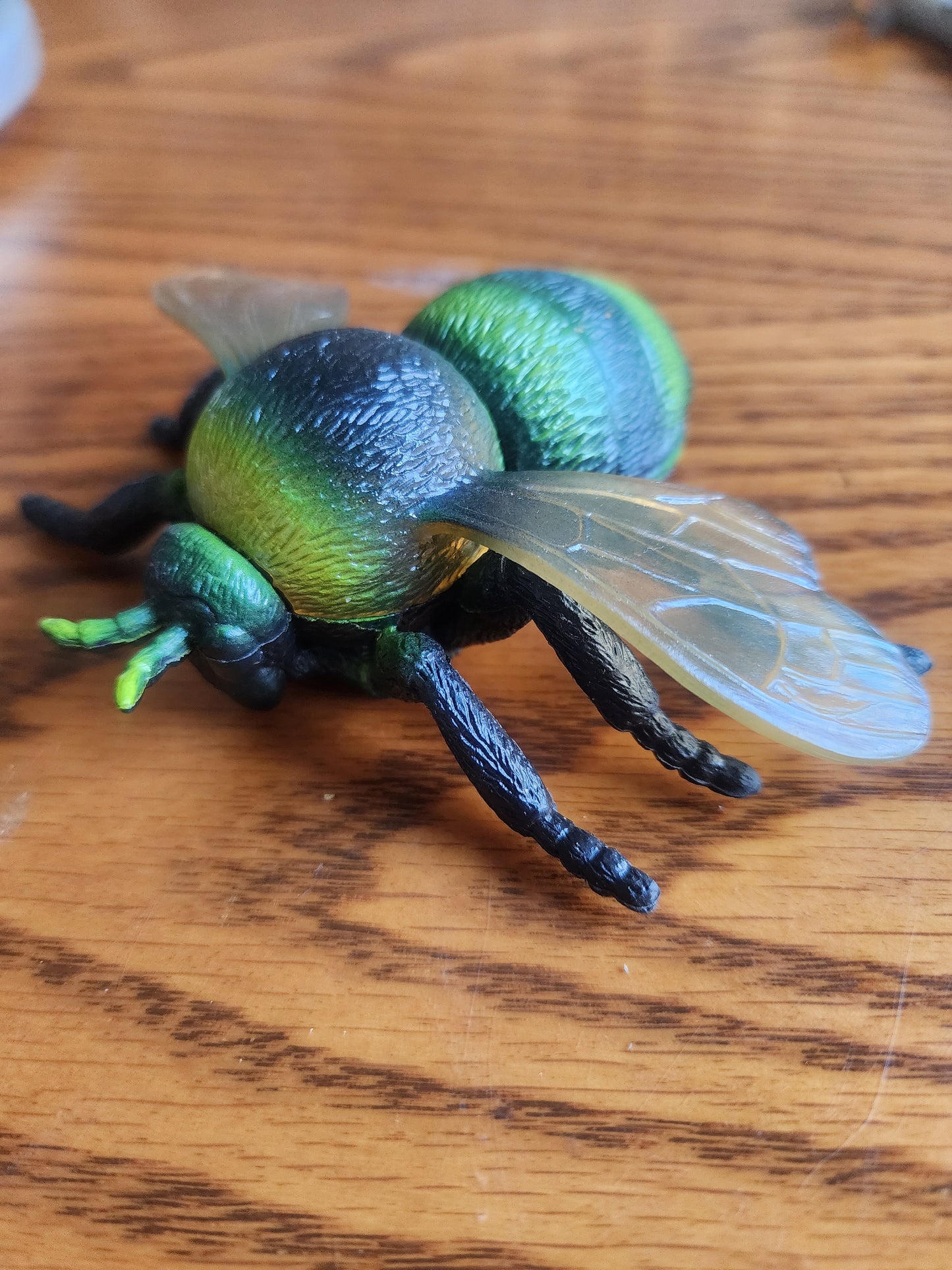Realistic Detail House Fly Insect Bug Halloween LARGE Plastic PVC Toy Figure 3.50"