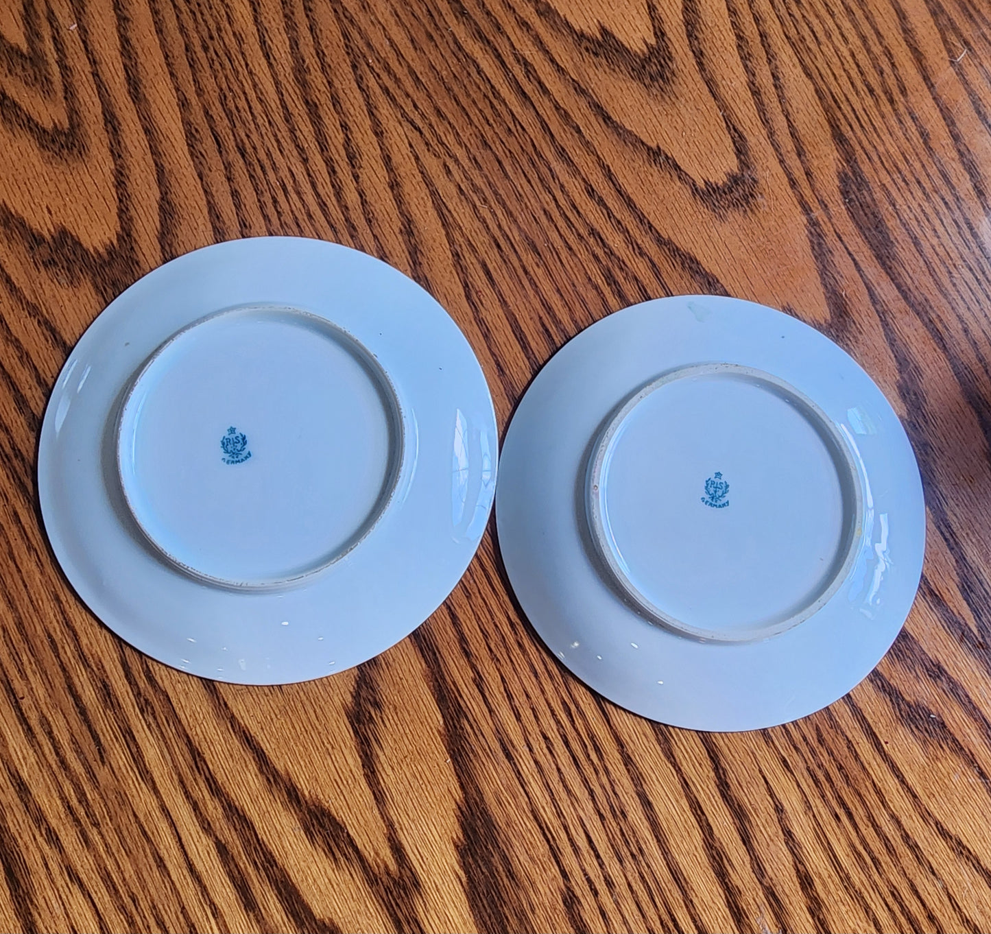 Vintage R.S. Germany 6.5" Decorative Plates - Set of 2 - White Dogwood Floral