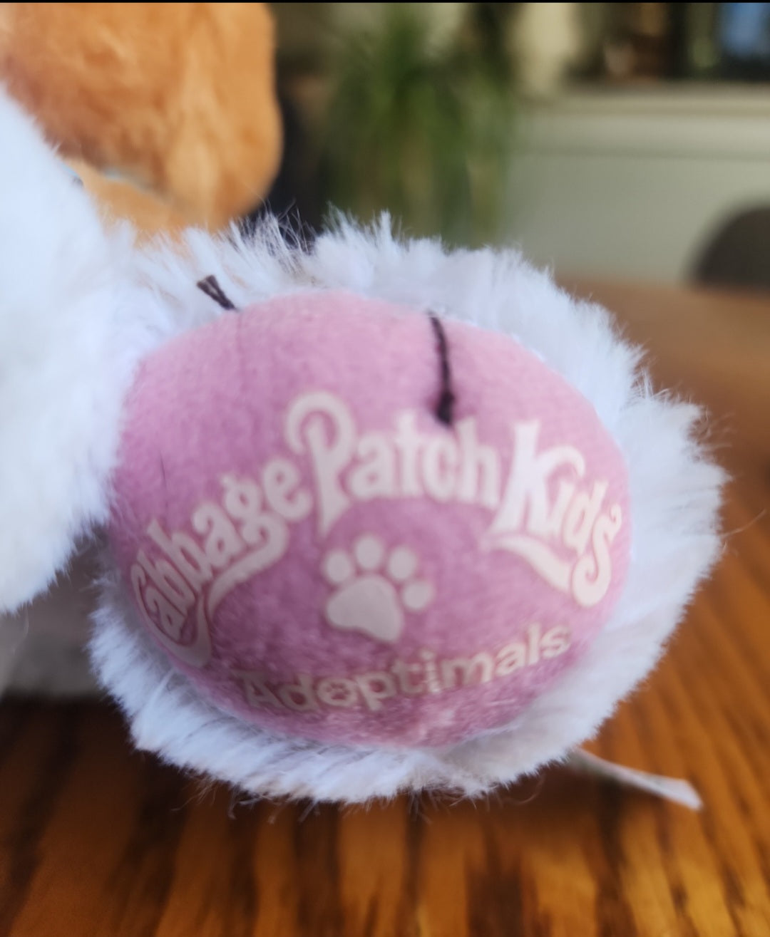 Orange Cabbage Patch Kids Adoptimals Kitty Cat Plush CPK Meows & Purrs