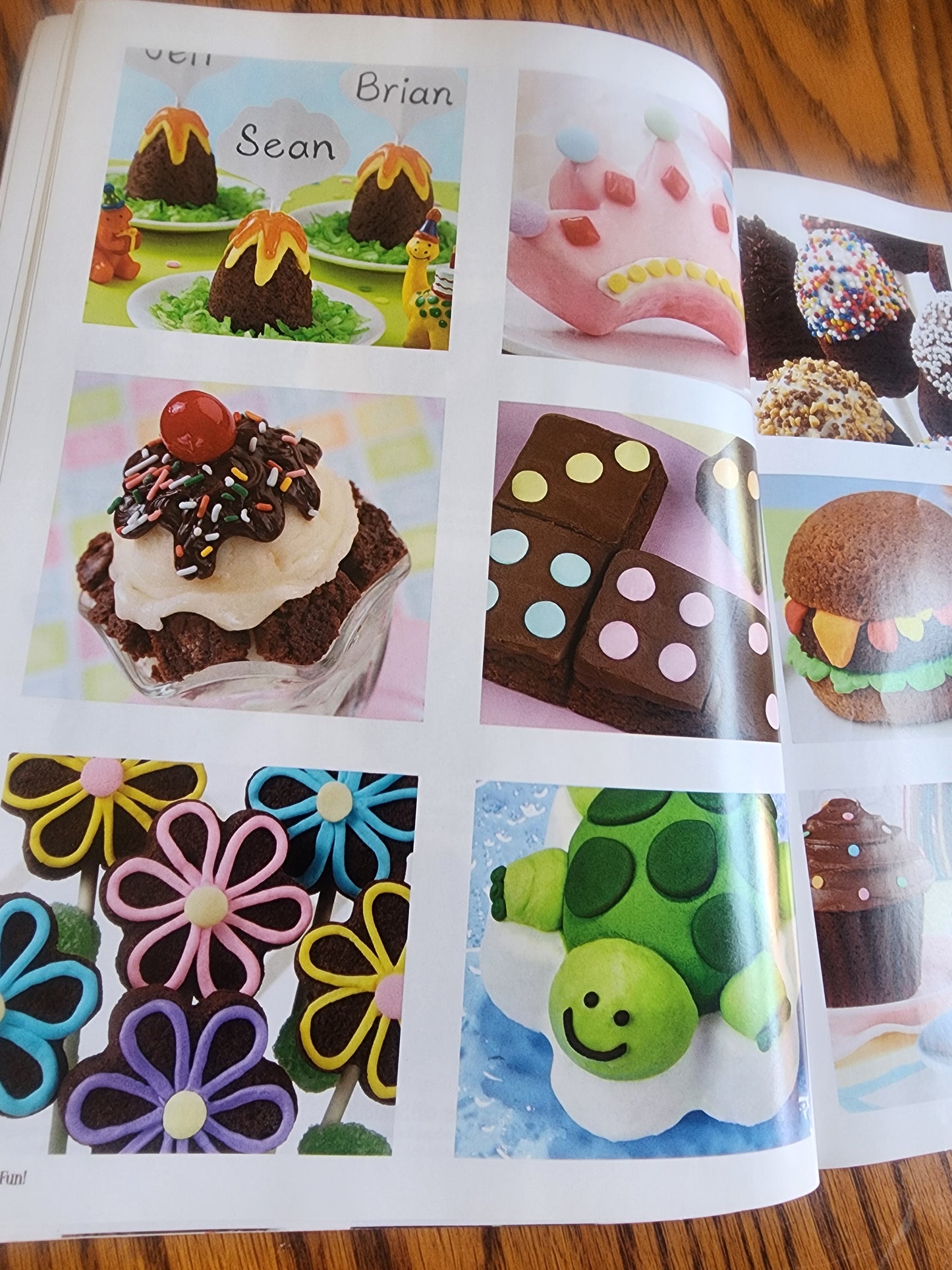 Wilton Brownie Fun! 140 Ideas & Recipes Decorating Book Cookbooks