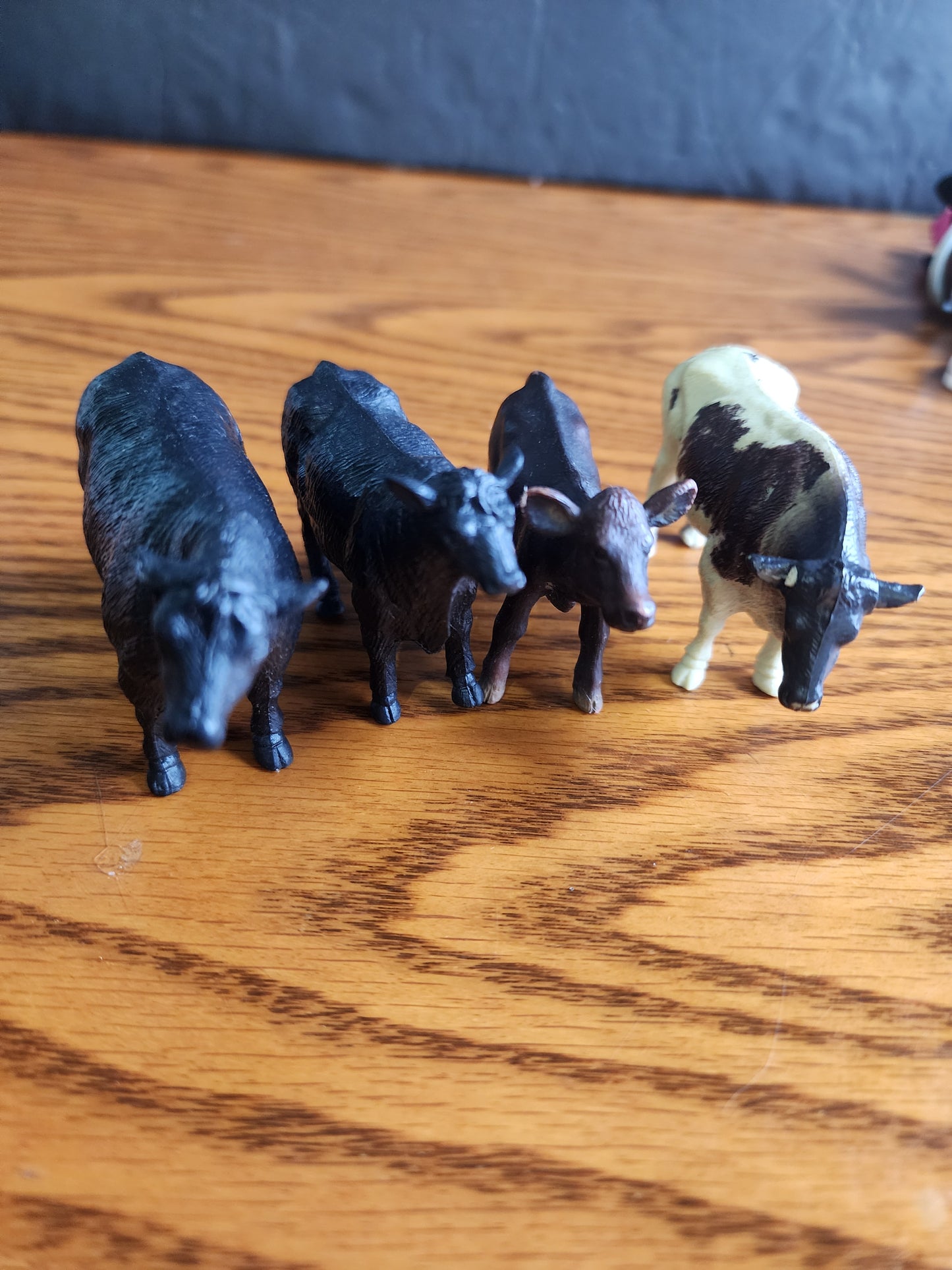 Lot of 4 animals 2 Bulls, cow & calf the biggest bull