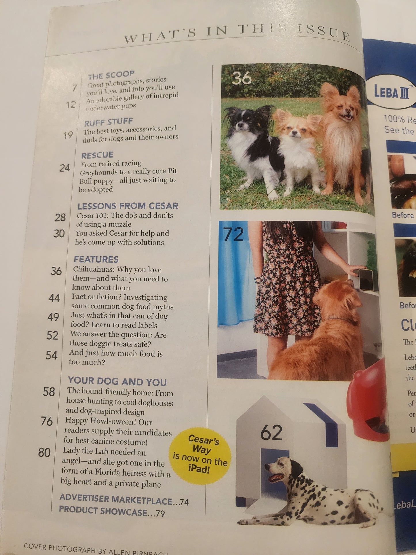 Cesar's Way Oct. 2014  featuring dog behaviorist Cesar Millan with a Chihuahua