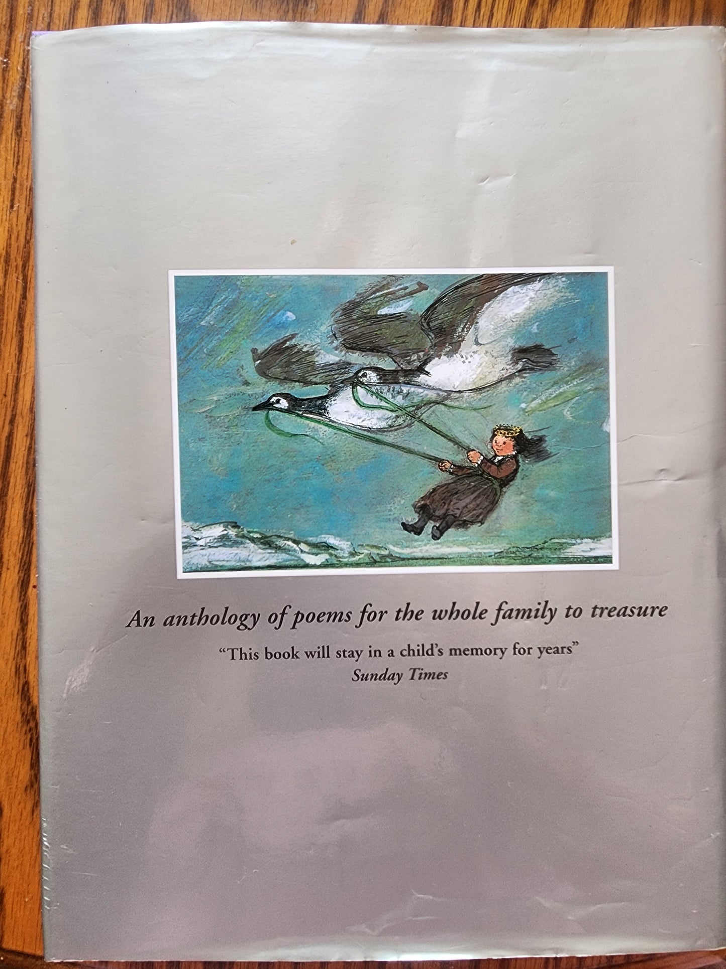 Treasury of Children's Poetry Hardcover Big  Book