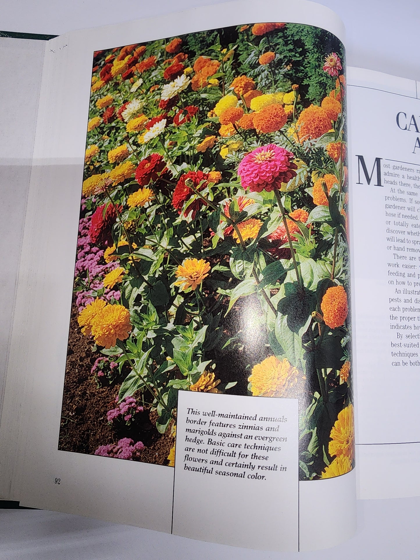TREASURY OF GARDENING COLLECTOR BOOK ANNUALS PERENNIALS VEGIES HERBS LANDSCAPE