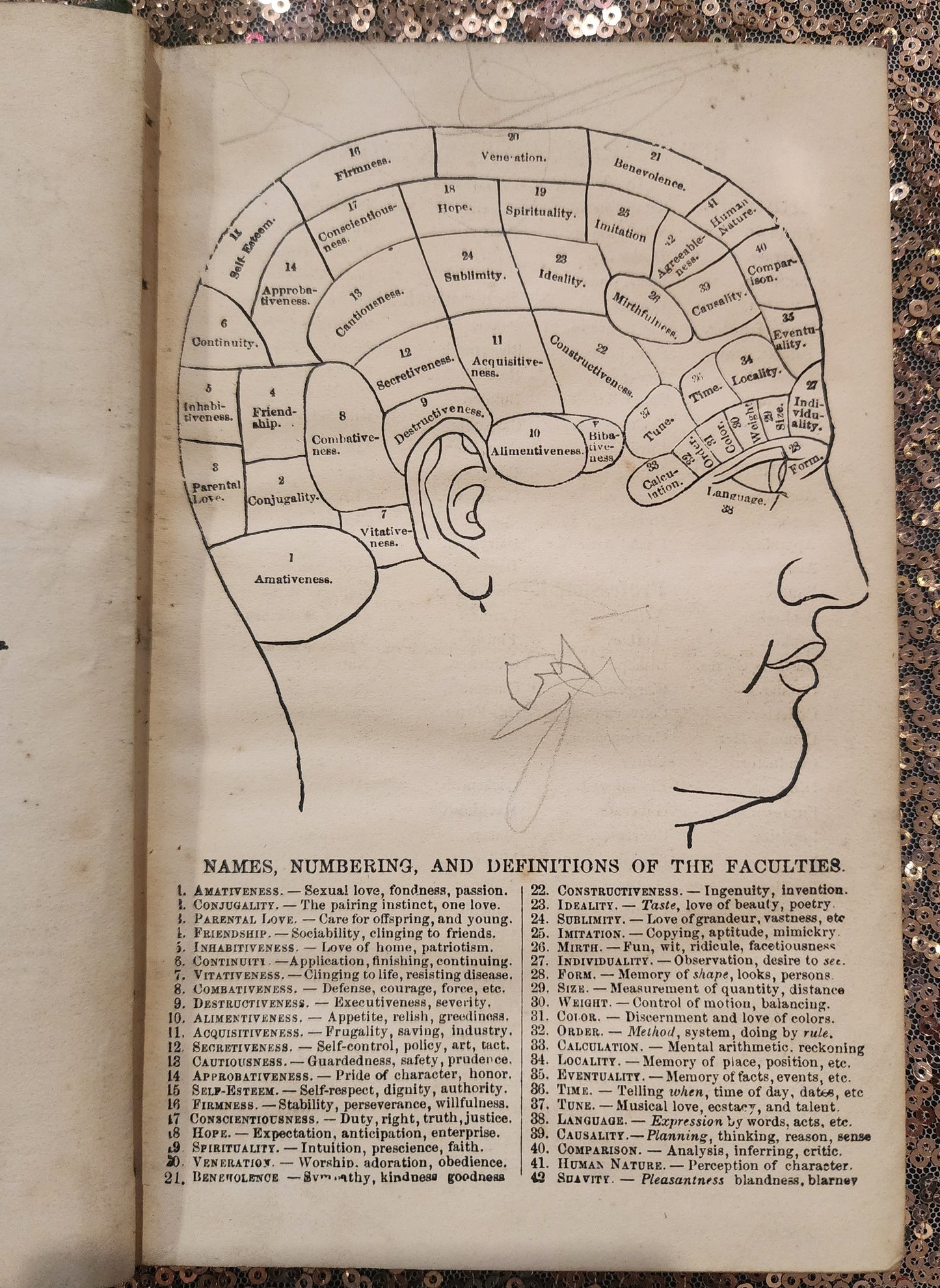 Rare Book, The Practical Phrenologist O.S. Fowler 1869