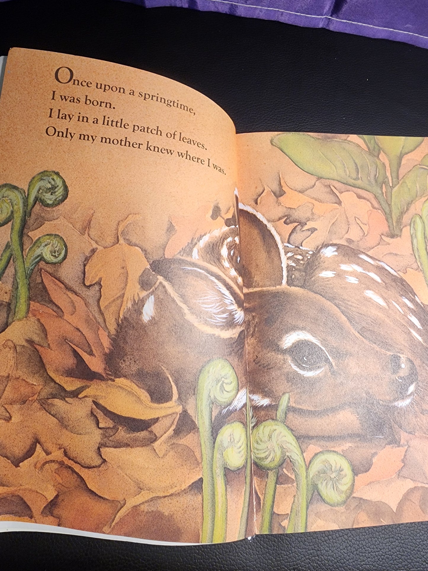 Once Upon a Springtime (Hello Reader, Level 2) paperback book