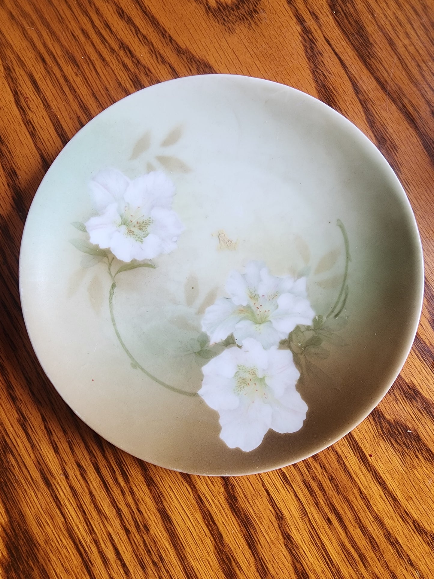 Vintage R.S. Germany 6.5" Decorative Plates - Set of 2 - White Dogwood Floral