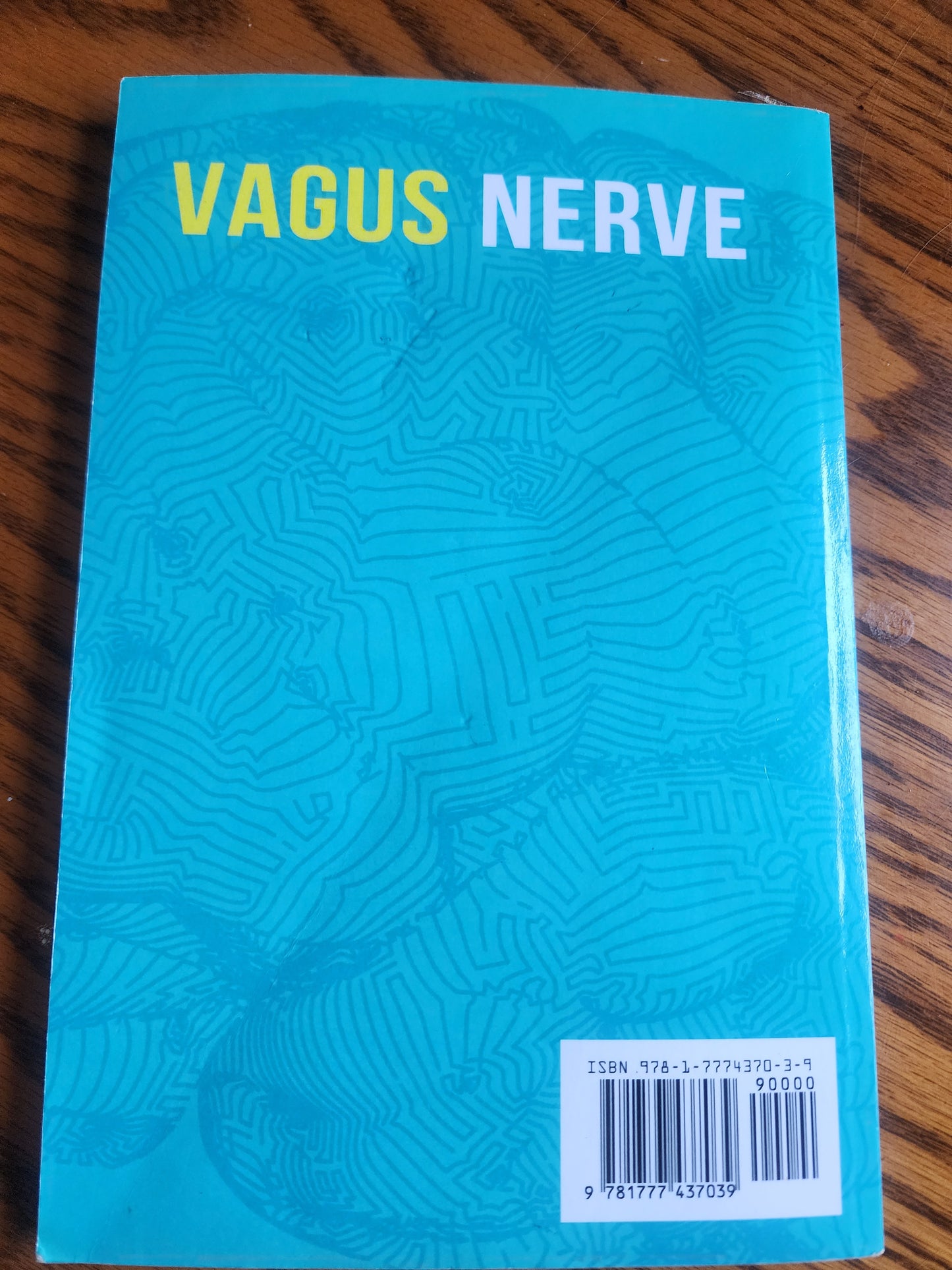 Vagus Nerve: A healing power guide with daily practical exercises to activate your vagus nerve" by Dr. Jason Rosenberg. Softcover Book
