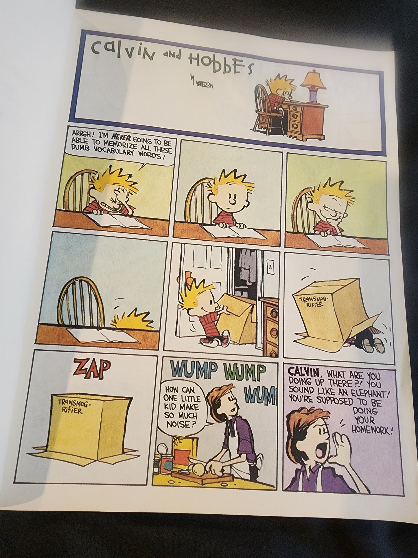 The Authoritative Calvin and Hobbes (A Calvin And Hobbes Treasury) 1990