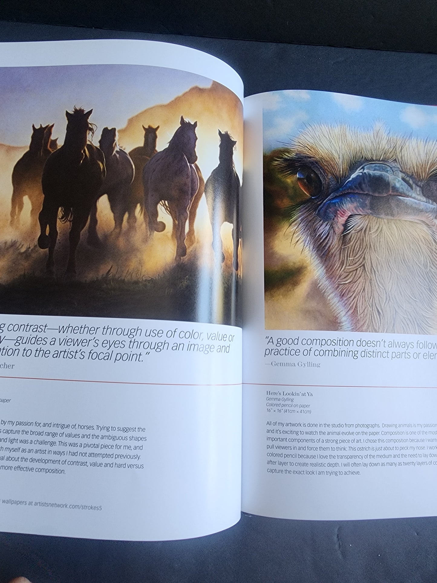 Strokes of Genius 5: Design and Composition (Strokes of Genius: The Best of Drawing