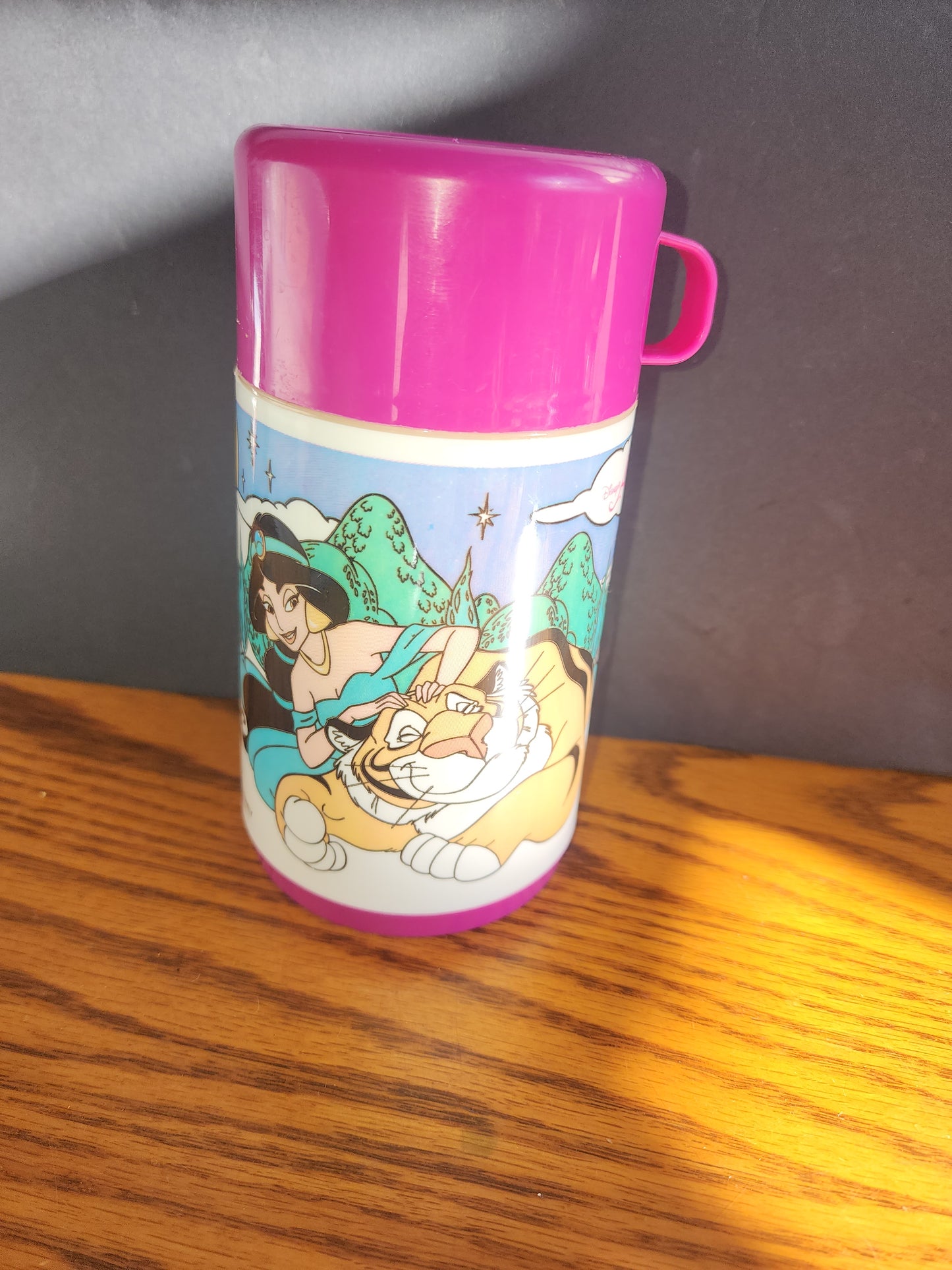 Vintage Pink Alladin and Jasmine Thermos by Alladdin 3 piece