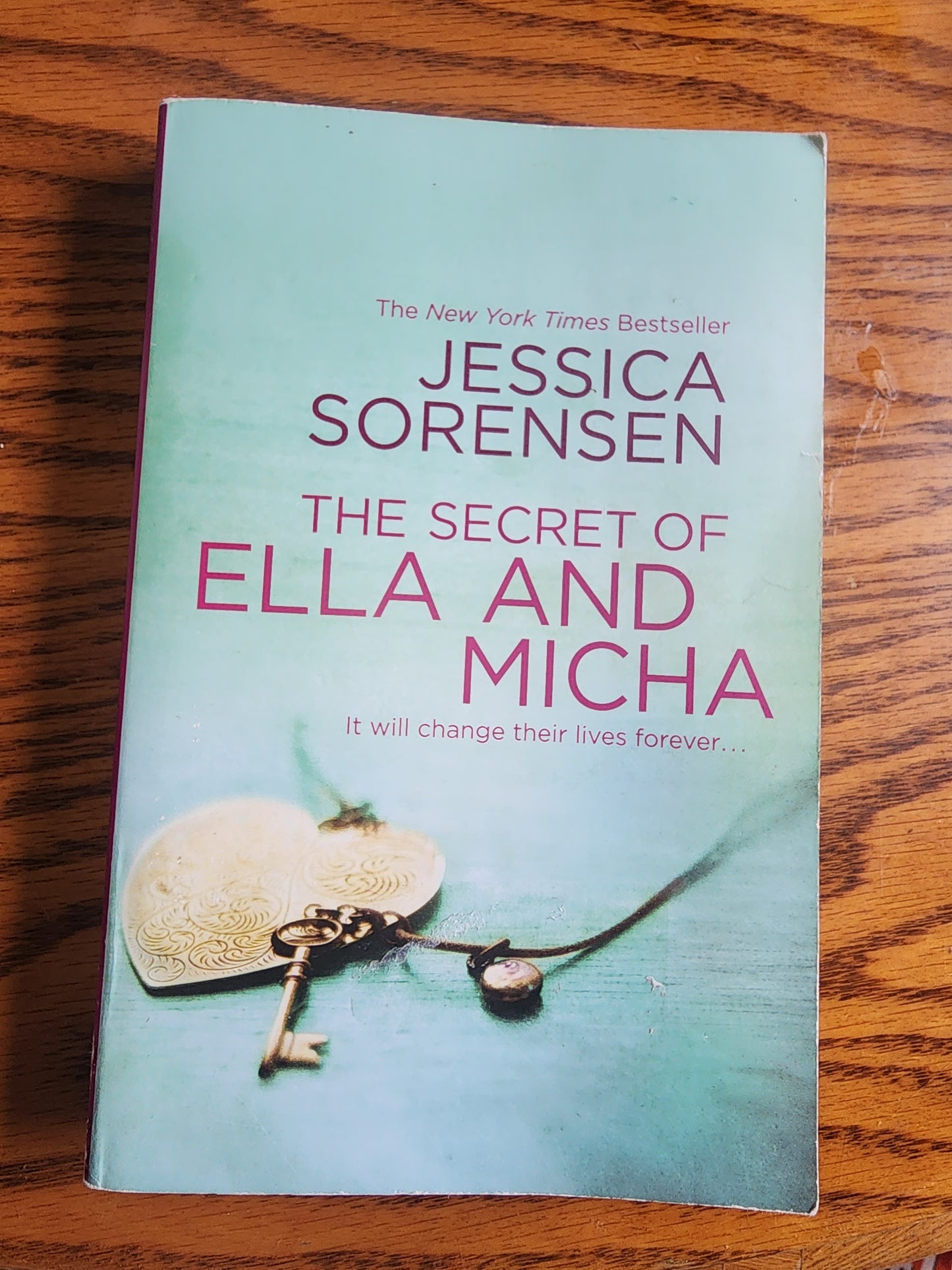 Secret of Ella and Micha  It will change their lives forever softcover book