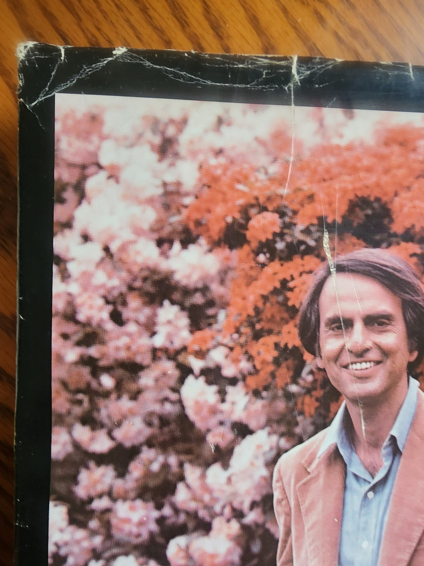 Cosmos by Carl Sagan - 1980 Vintage Hardcover with dust jacket