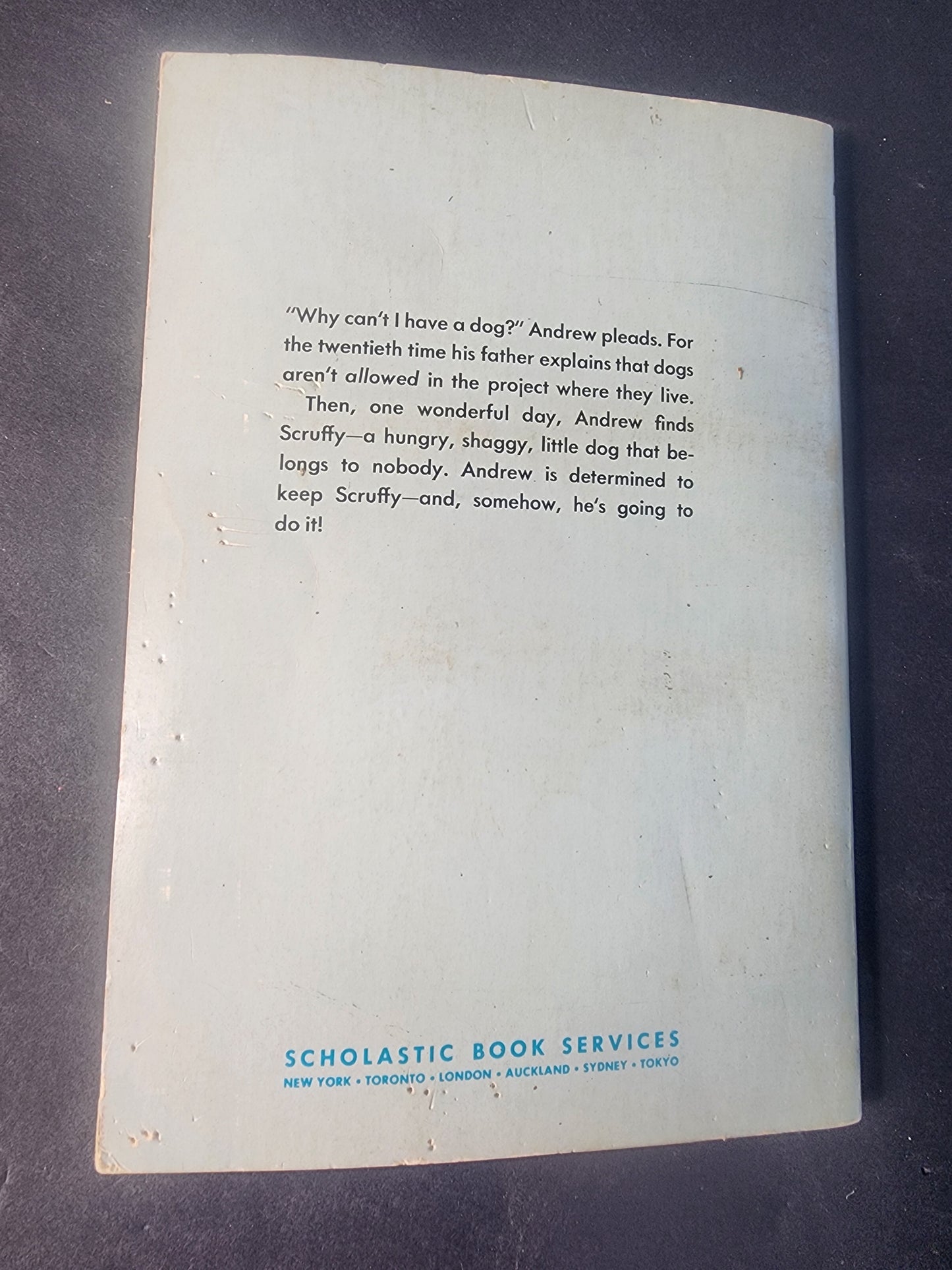 Vintage Children's Book: Dog! by Prudence Andrew (1973)