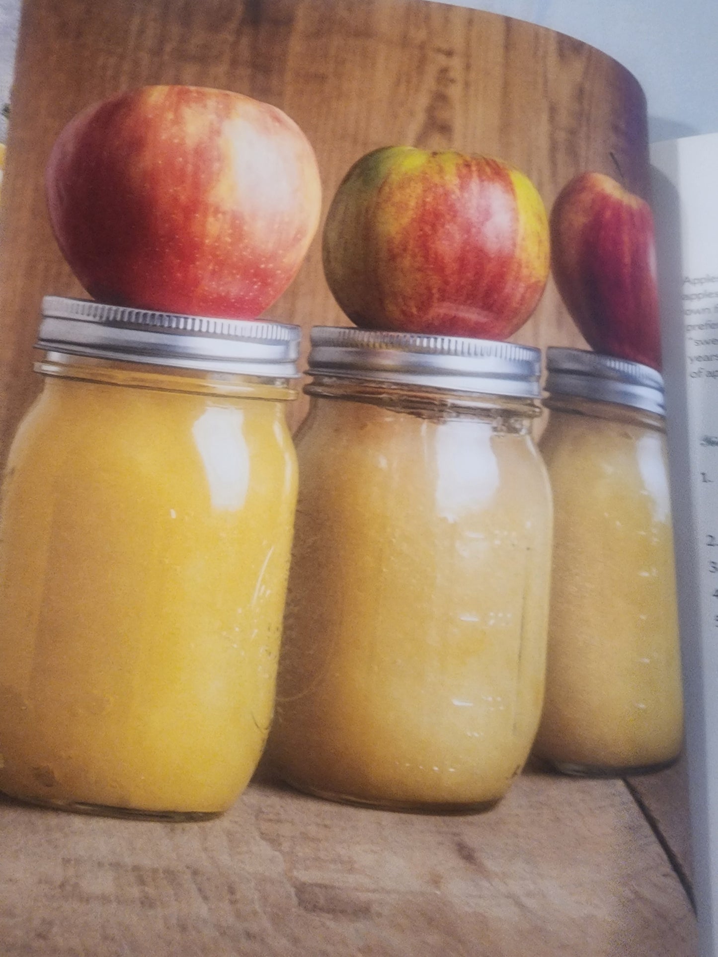 Amish Canning & Preserving: How to Make Soups, Sauces, Pickles, Relishes, & More