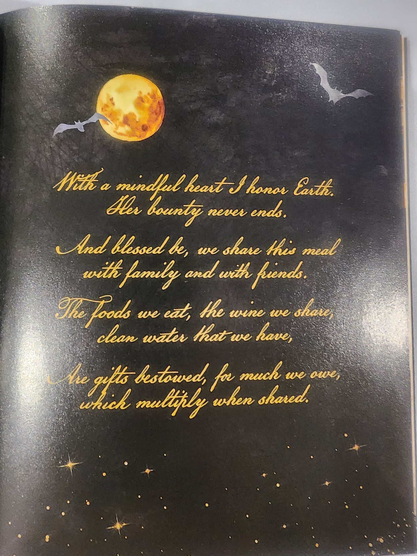 The Witch's Cookbook: 50 Wickedly Delicious Witchcraft-Inspired Recipes HB Book