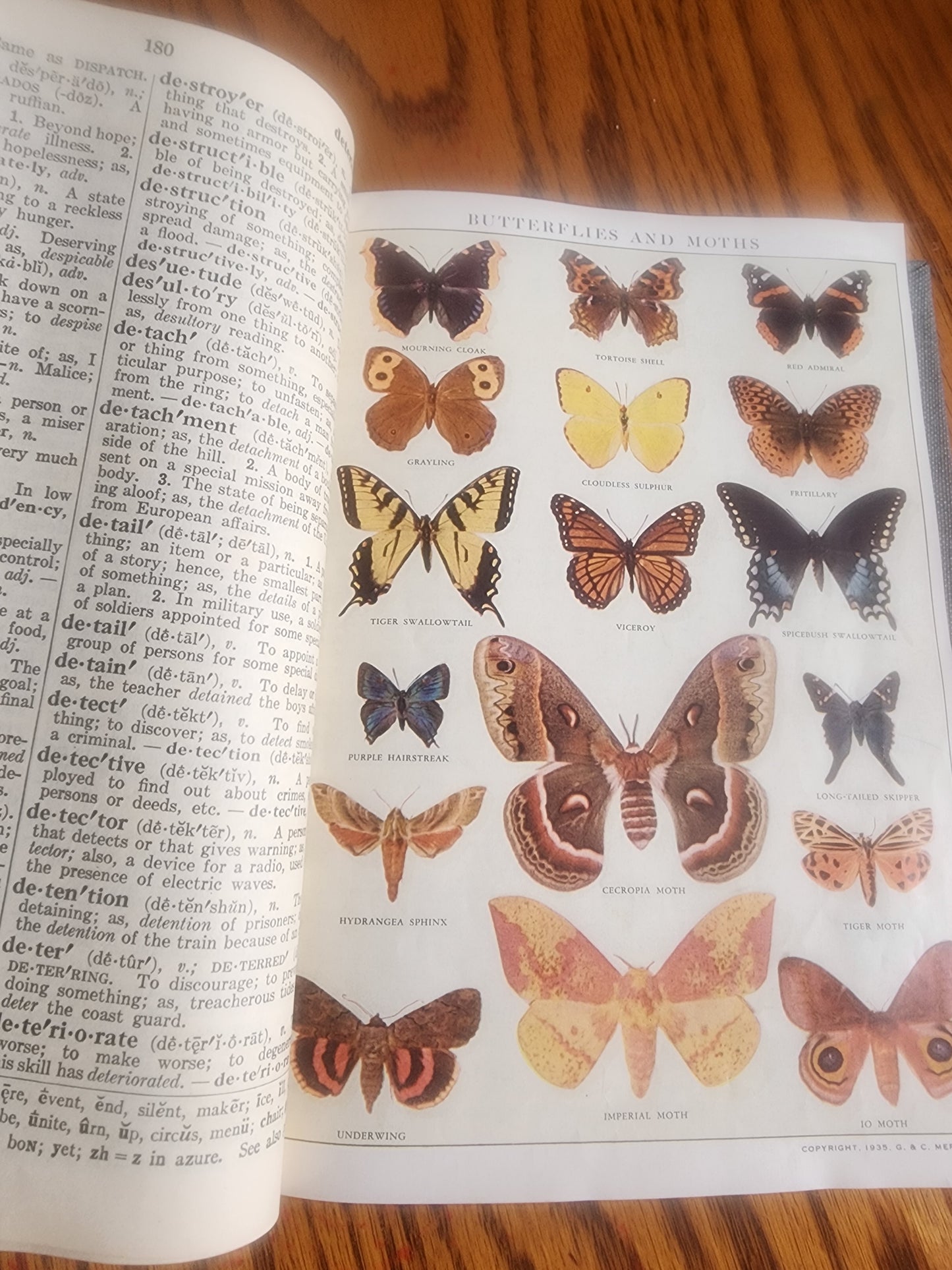 Vintage 1941 Webster's Elementary Dictionary for Boys and Girls - Illustrated